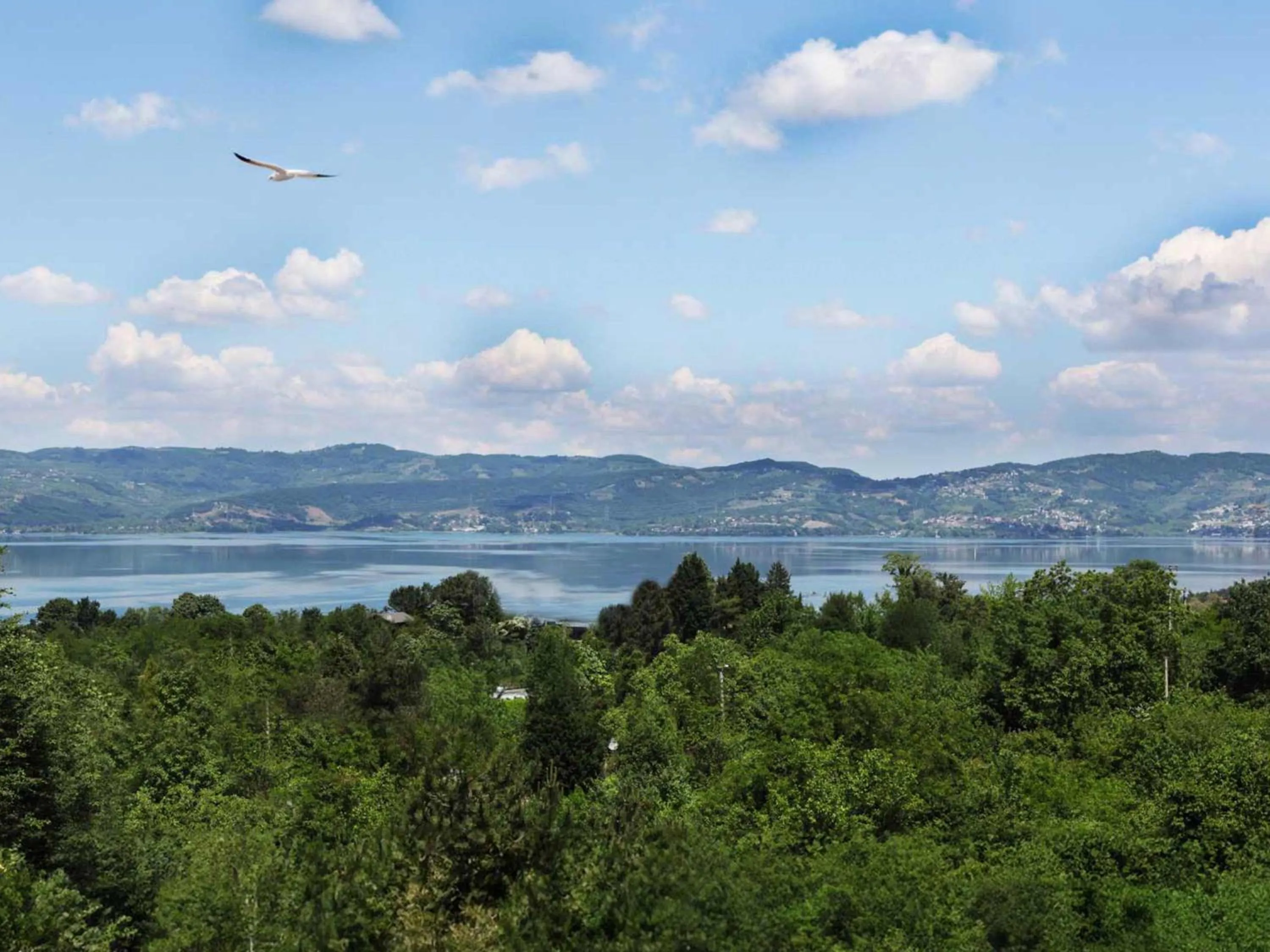 Day in Sapanca Kırsal Silence