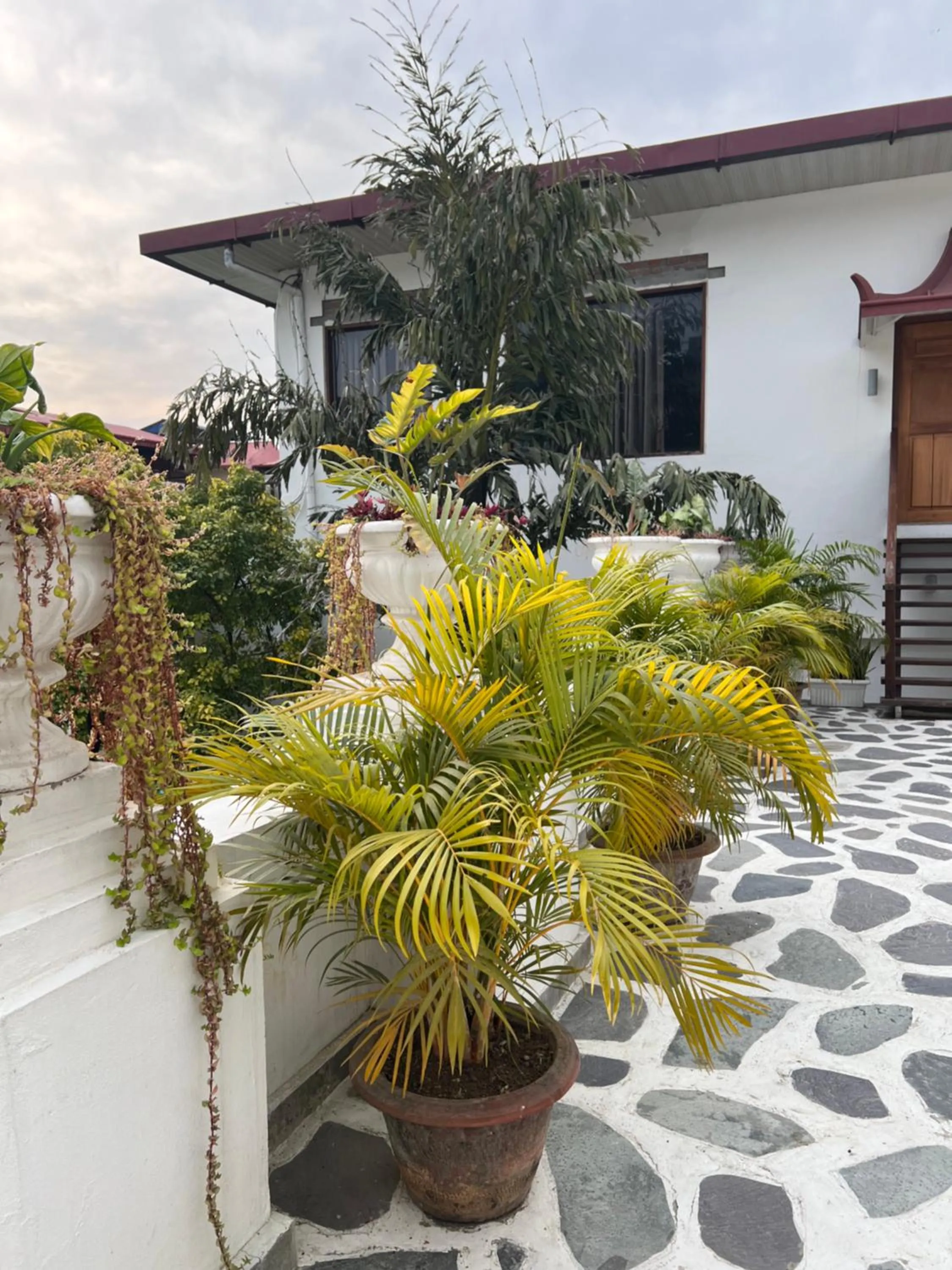 Garden view in Club De Novo Hotel