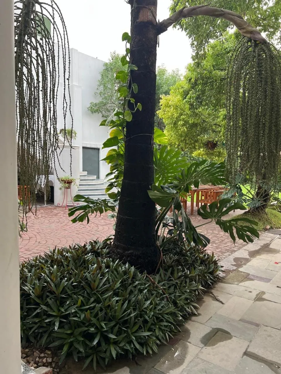 Natural landscape in Club De Novo Hotel