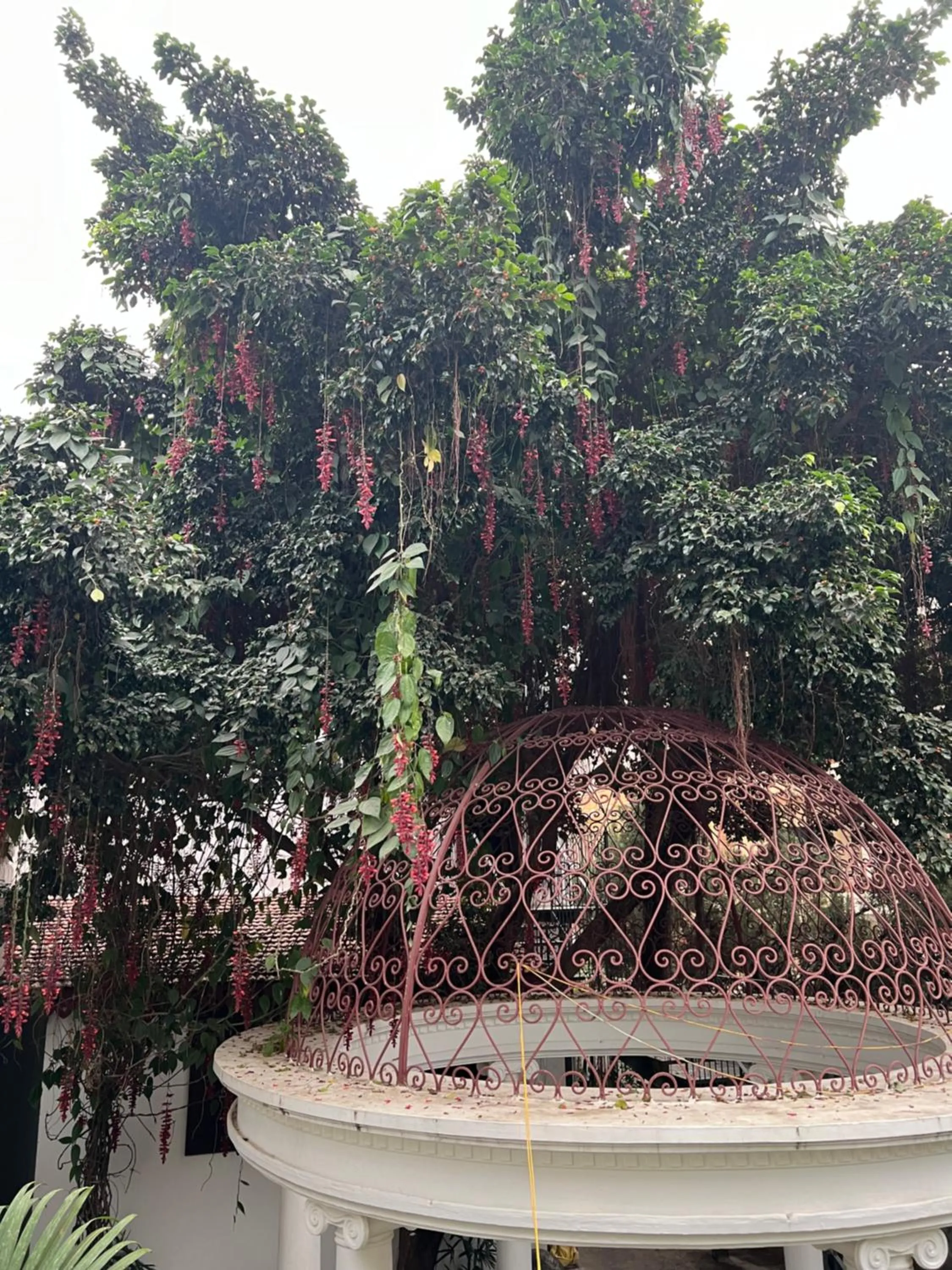 Spring in Club De Novo Hotel