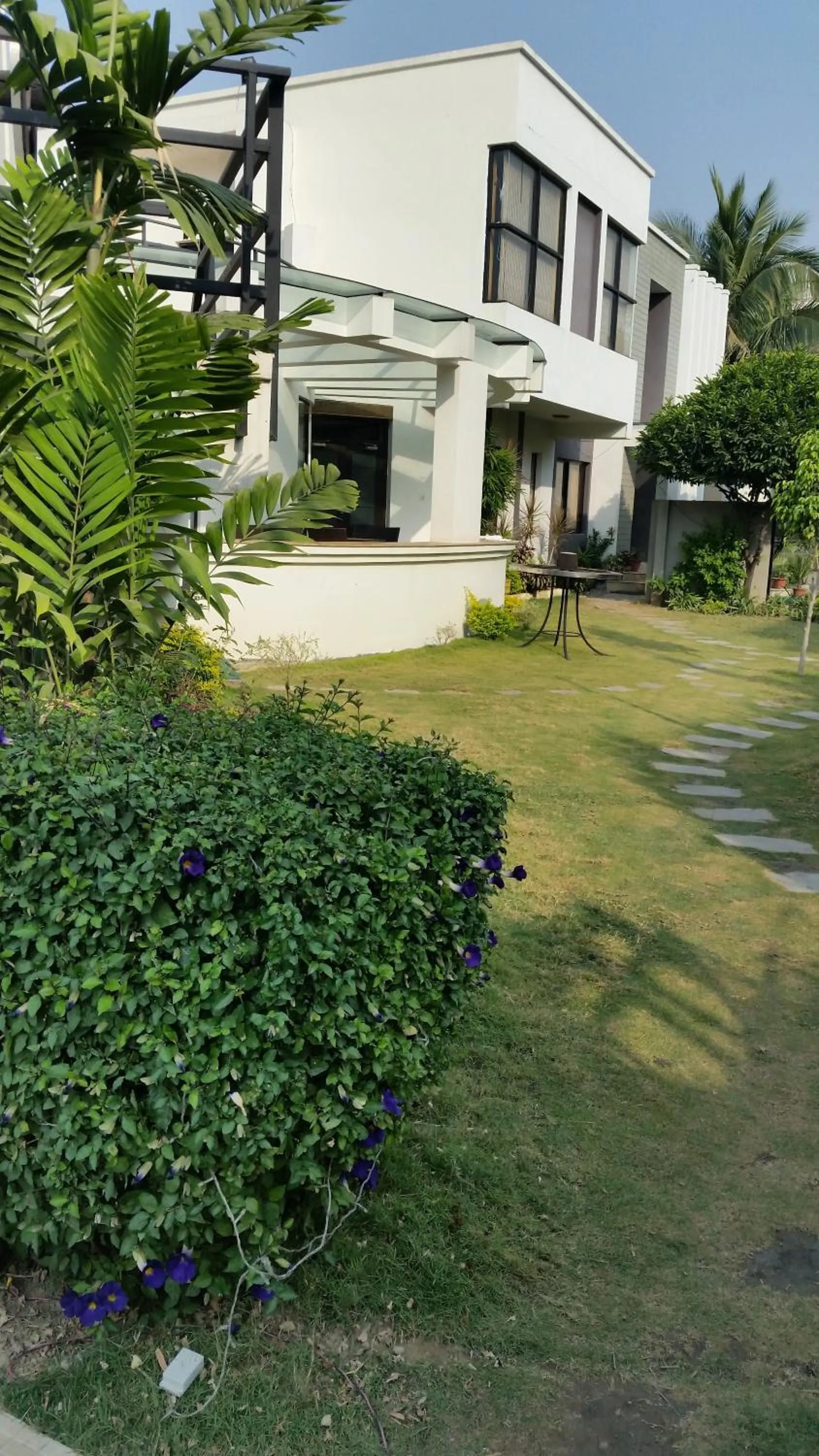 Garden in Club De Novo Hotel