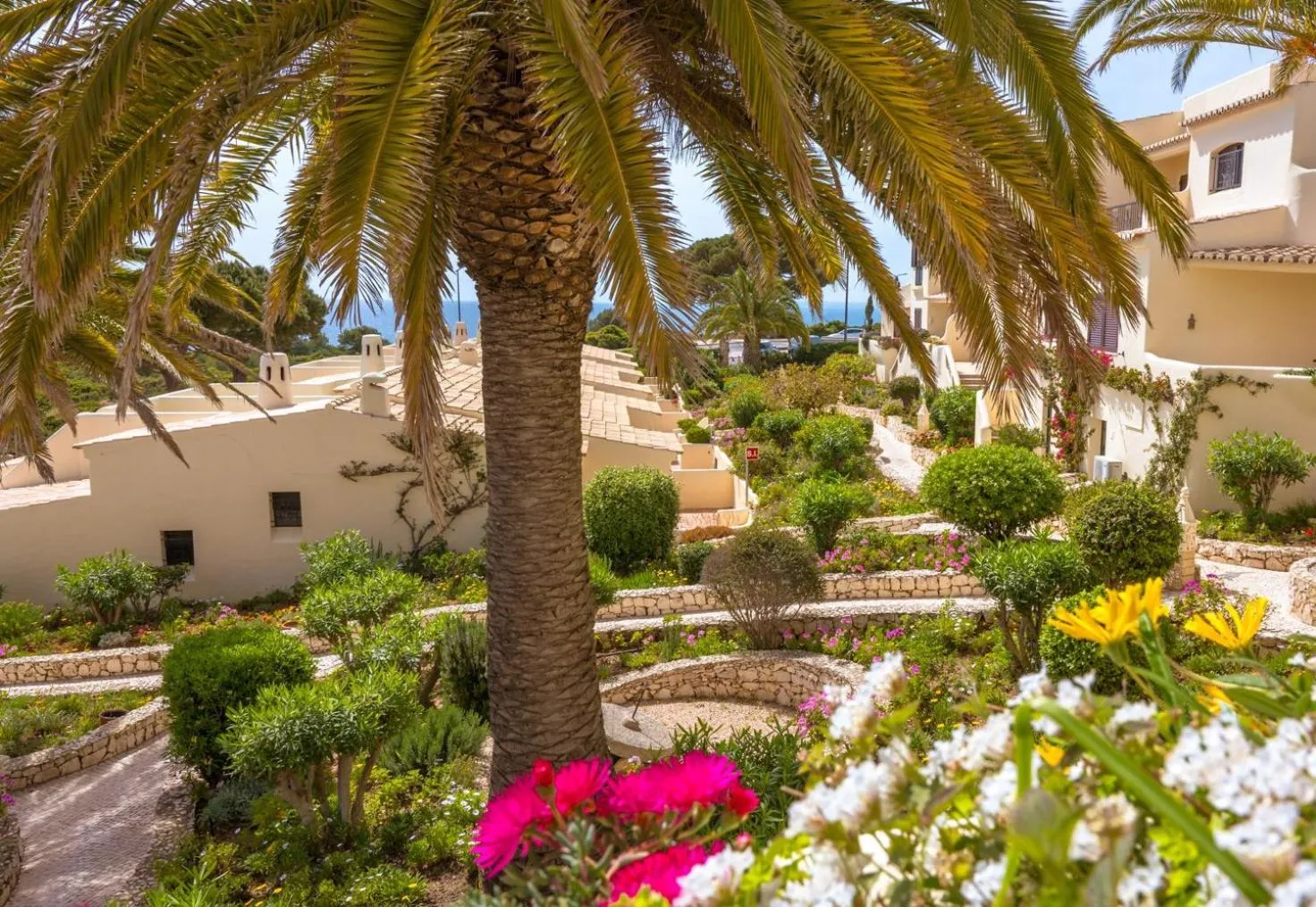 Garden in Algar Seco Parque