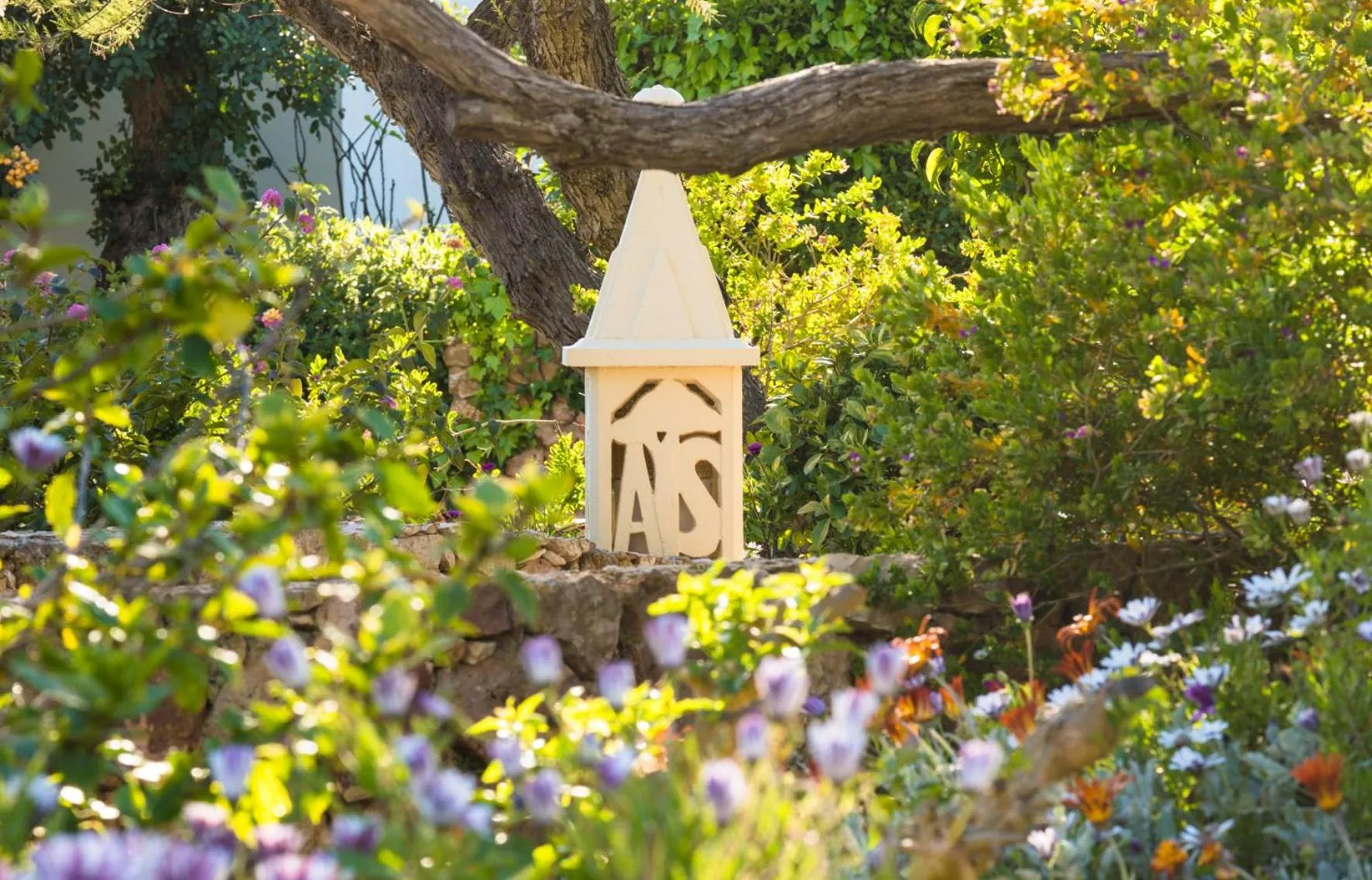 Garden in Algar Seco Parque