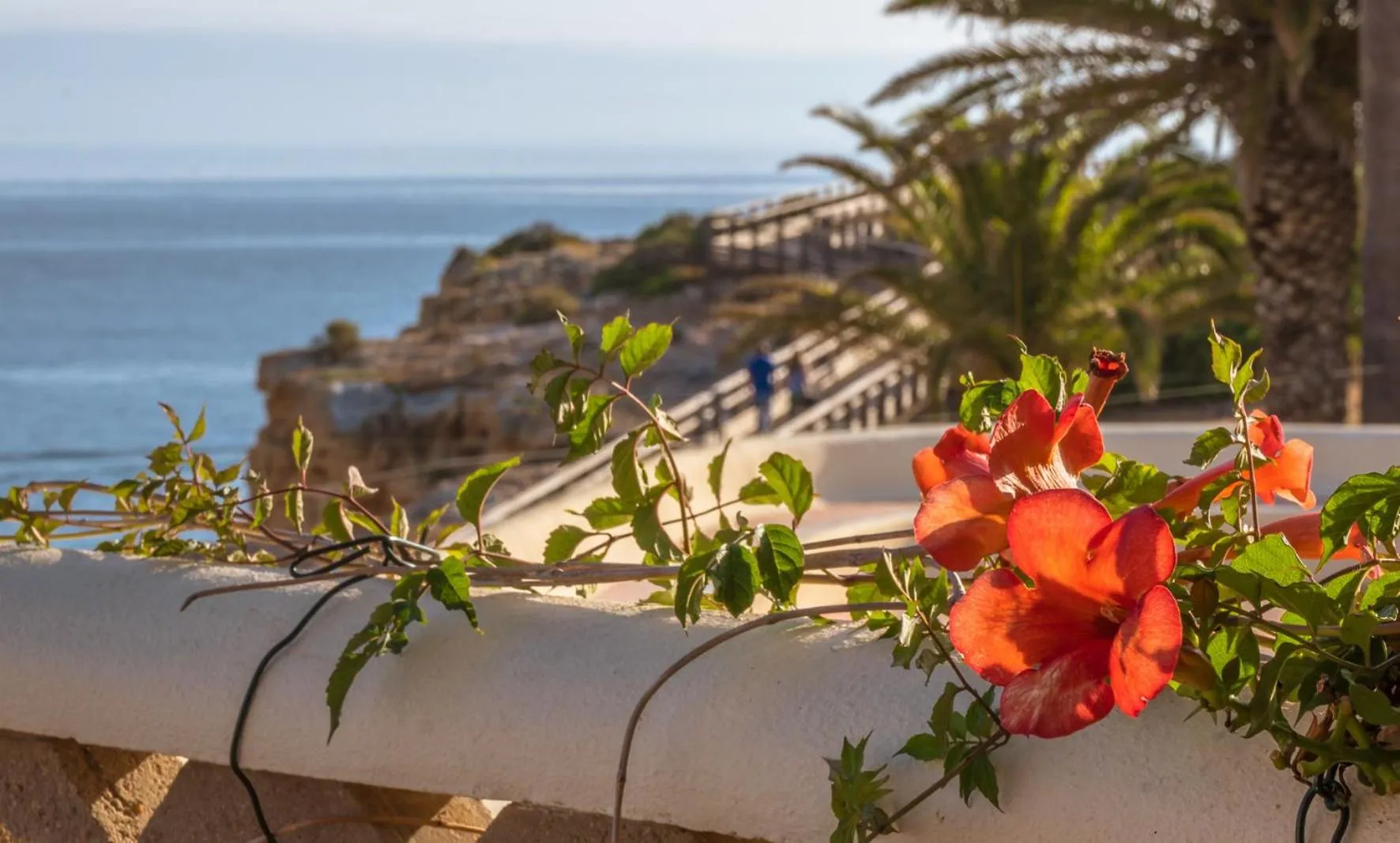 Balcony/Terrace in Algar Seco Parque