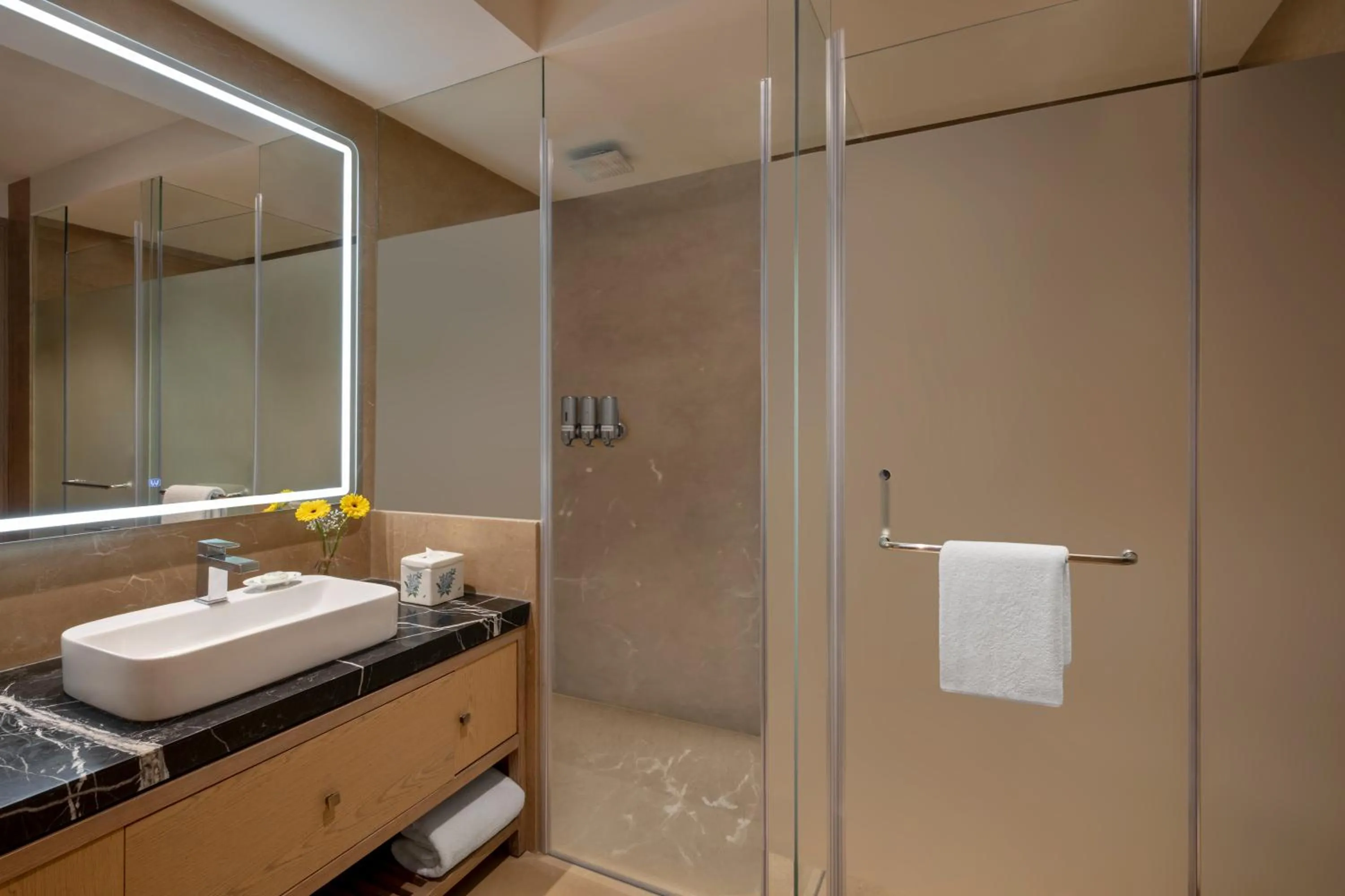 Bathroom in Welcomhotel by ITC Hotels, Rama International, Aurangabad
