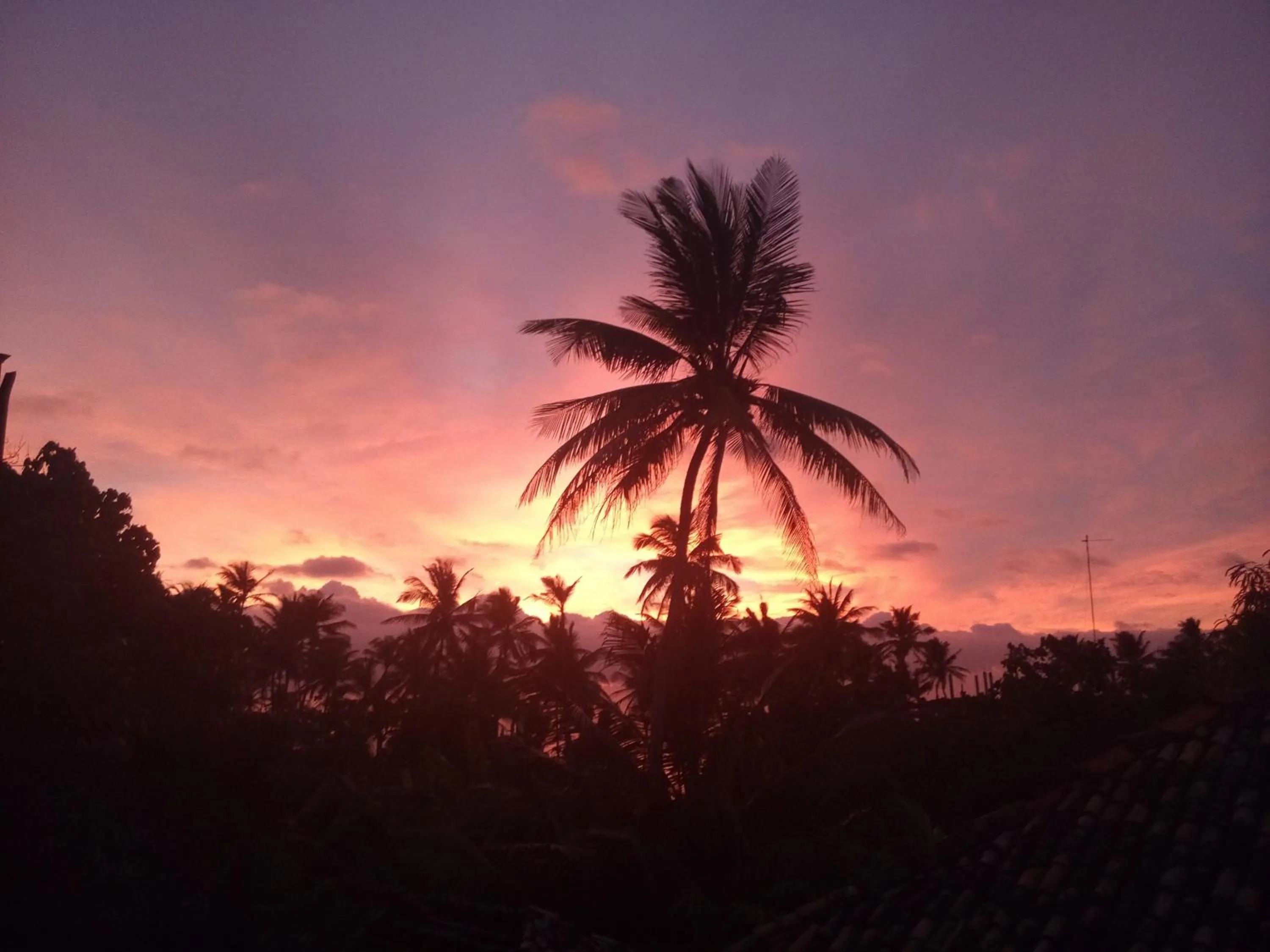 Bird's eye view in The Spring Holiday