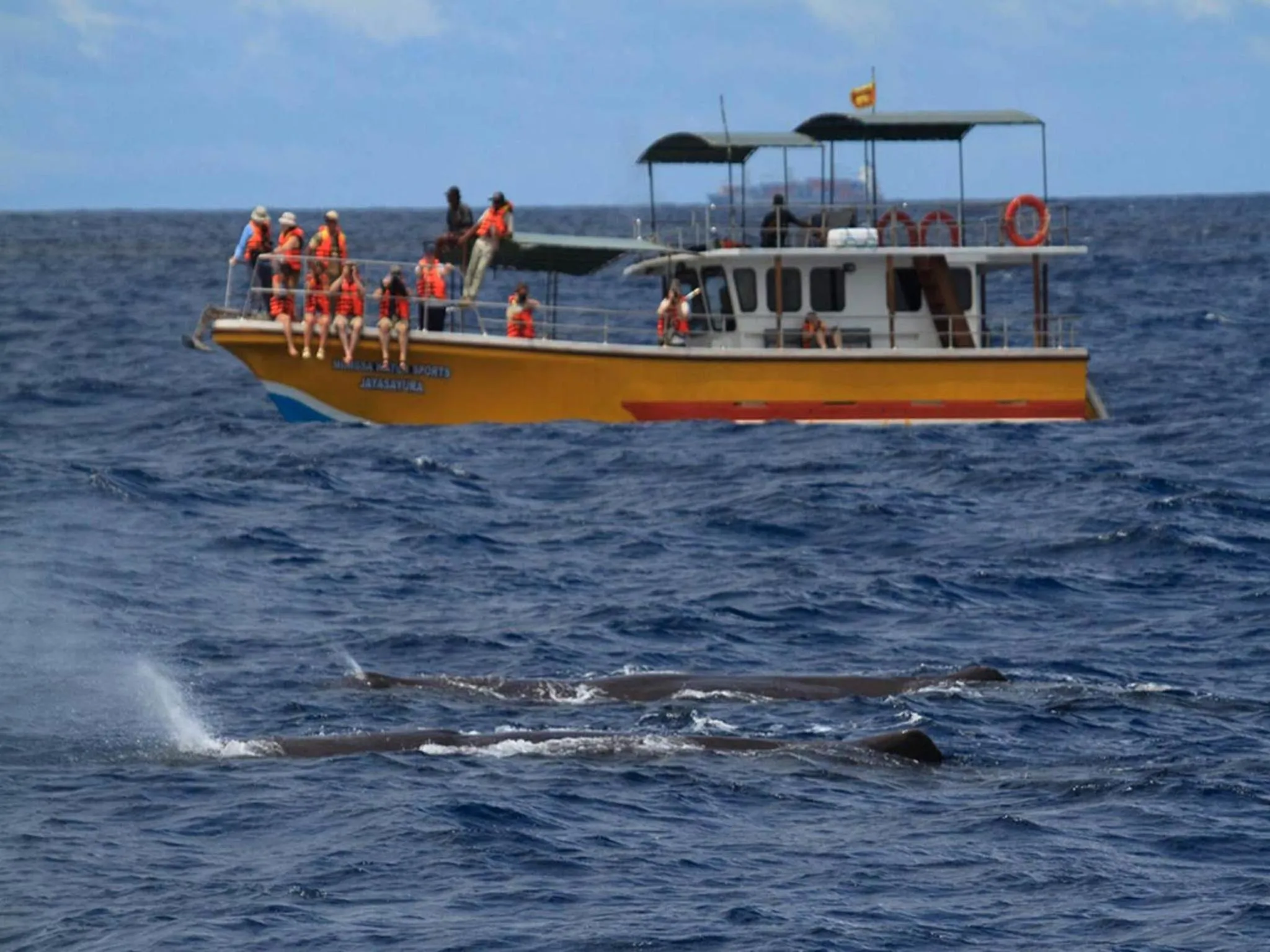 Beach in The Spring Holiday
