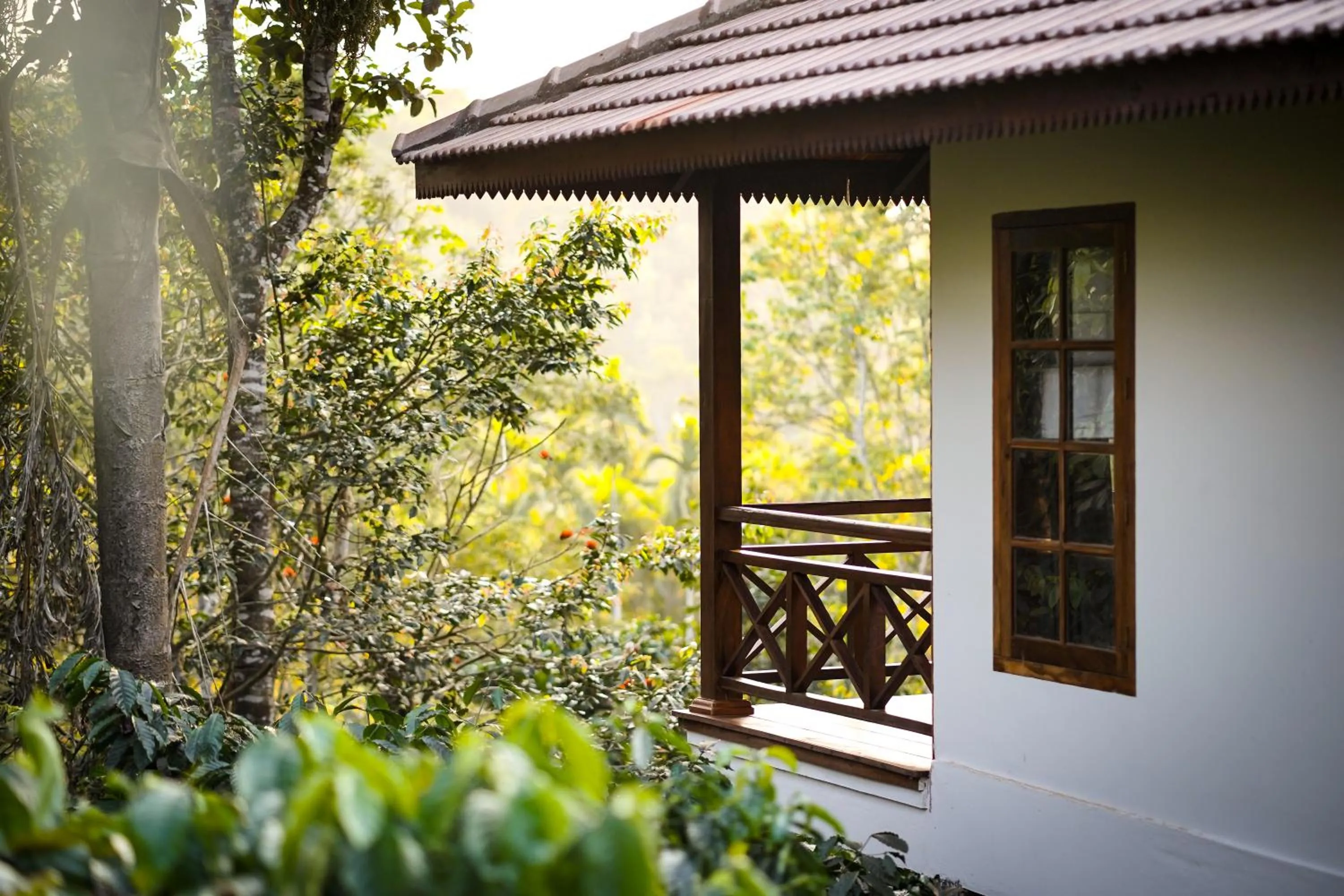 View (from property/room) in Pepper Trail