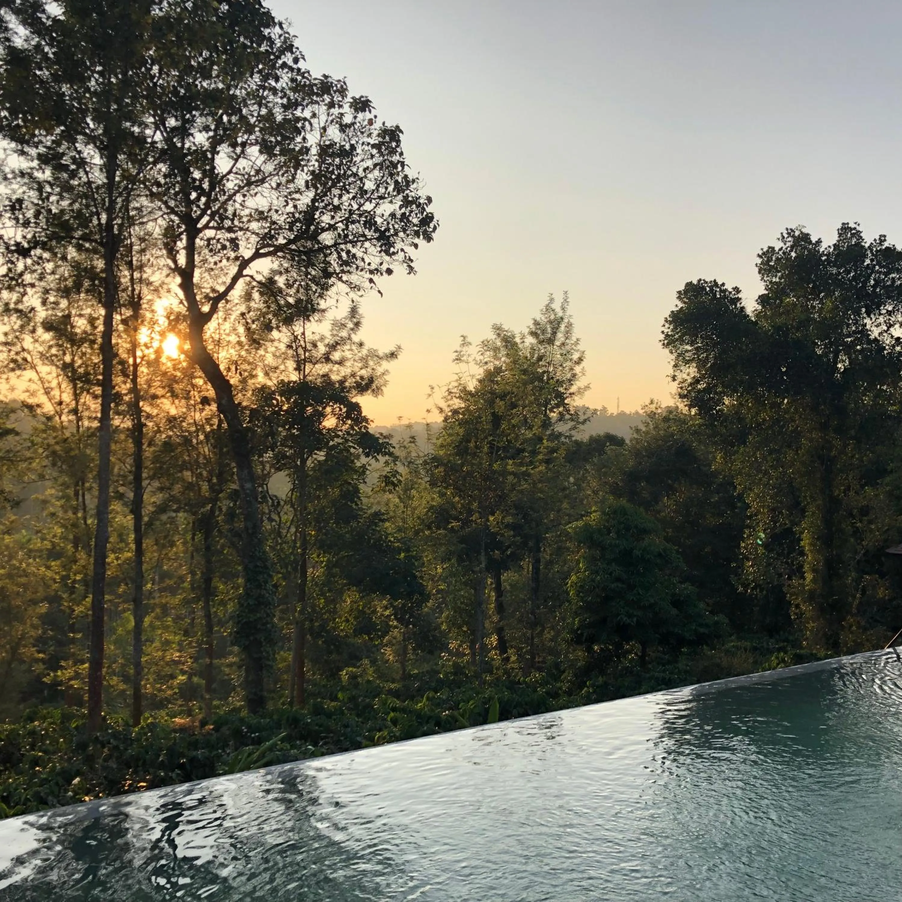 On site in Pepper Trail