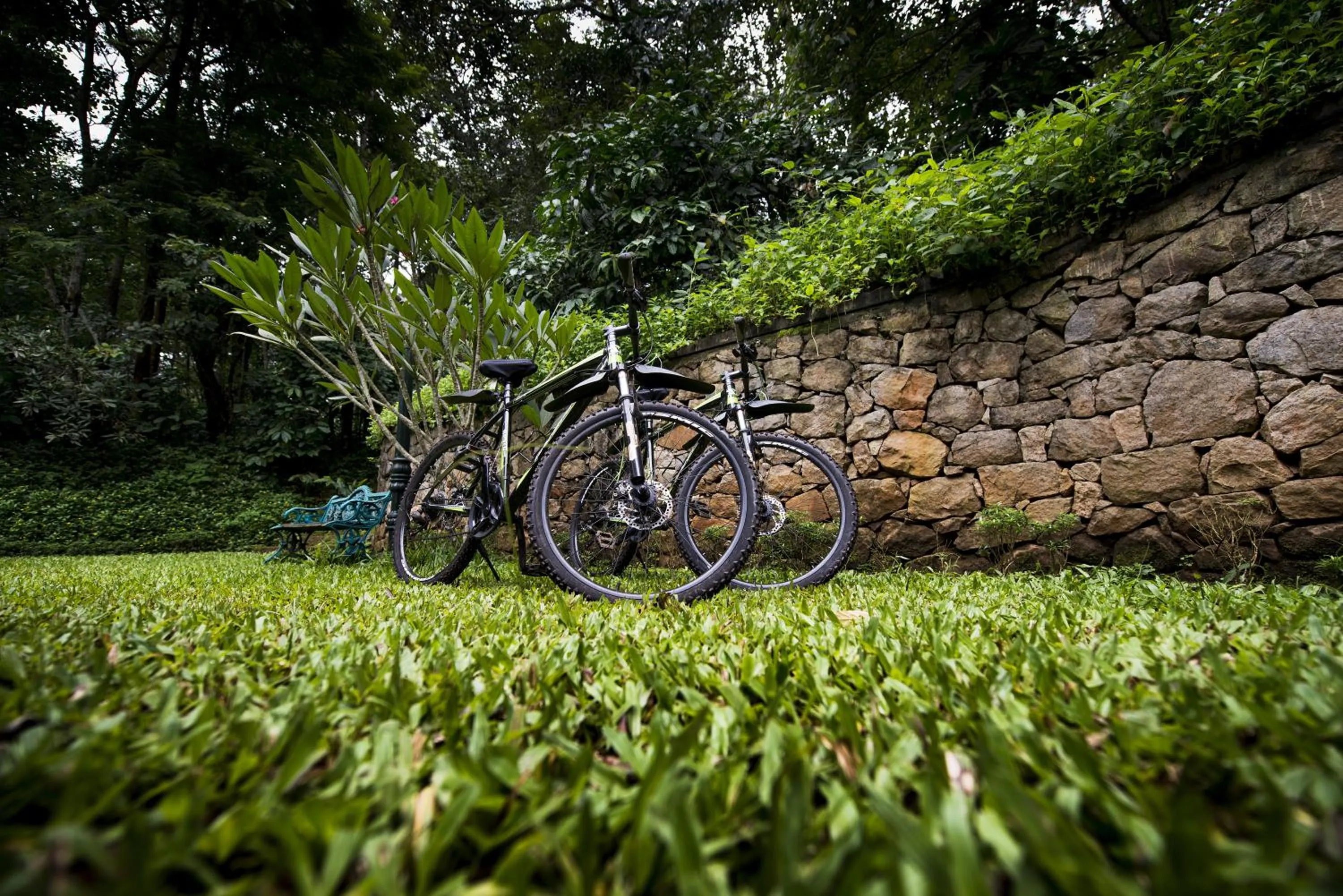 Garden in Pepper Trail