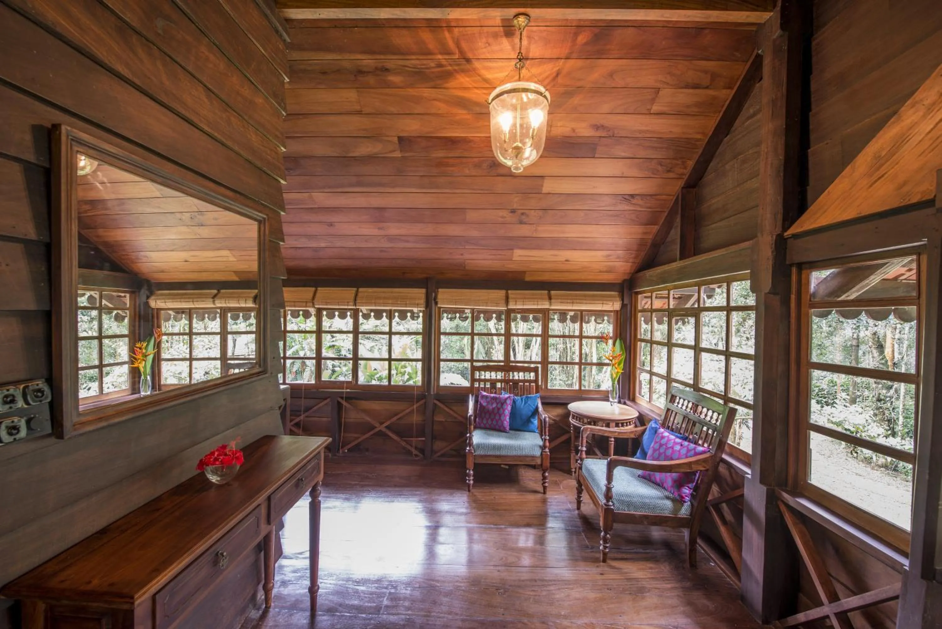 View (from property/room) in Pepper Trail