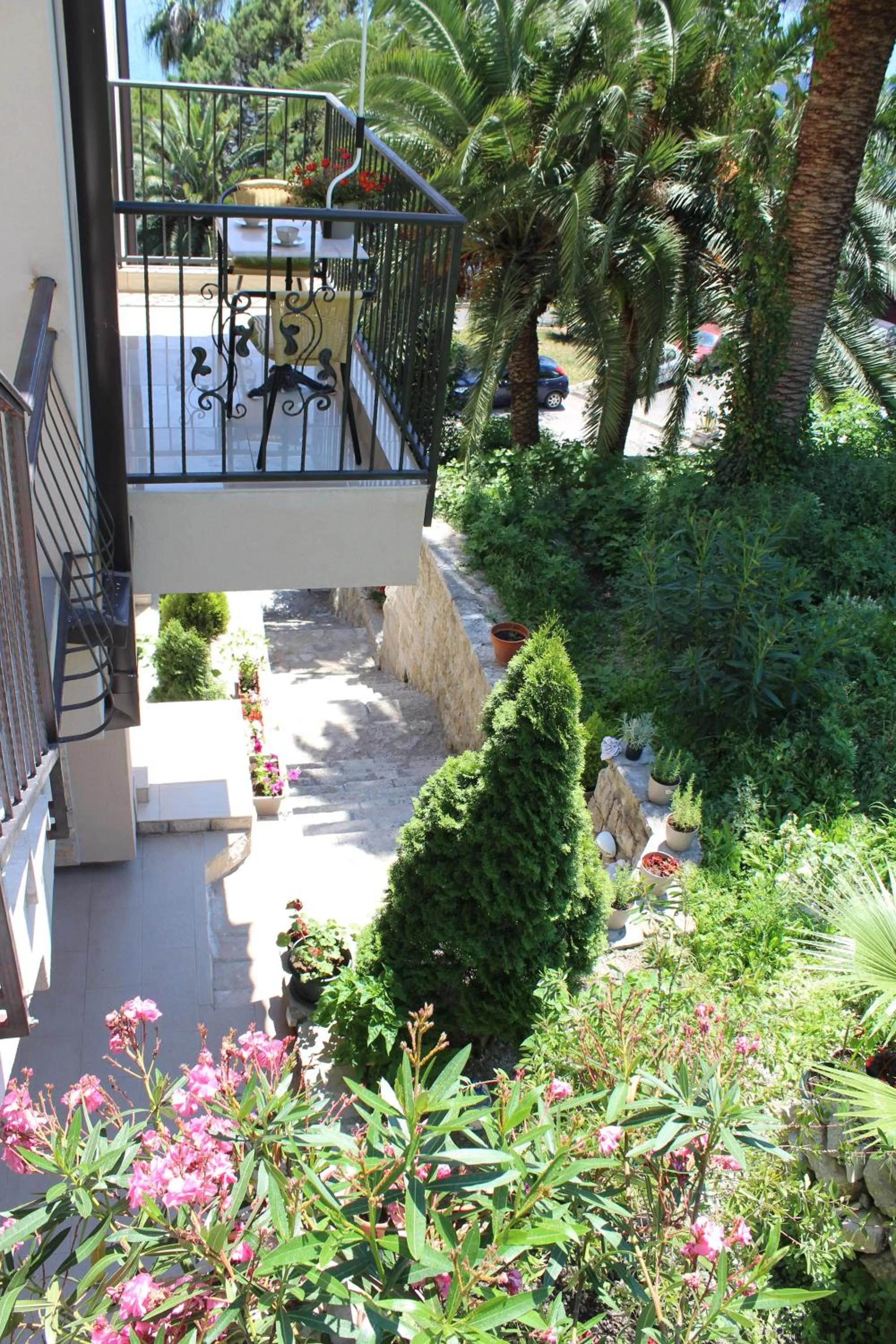 Natural landscape in Swiss Residence Montenegro