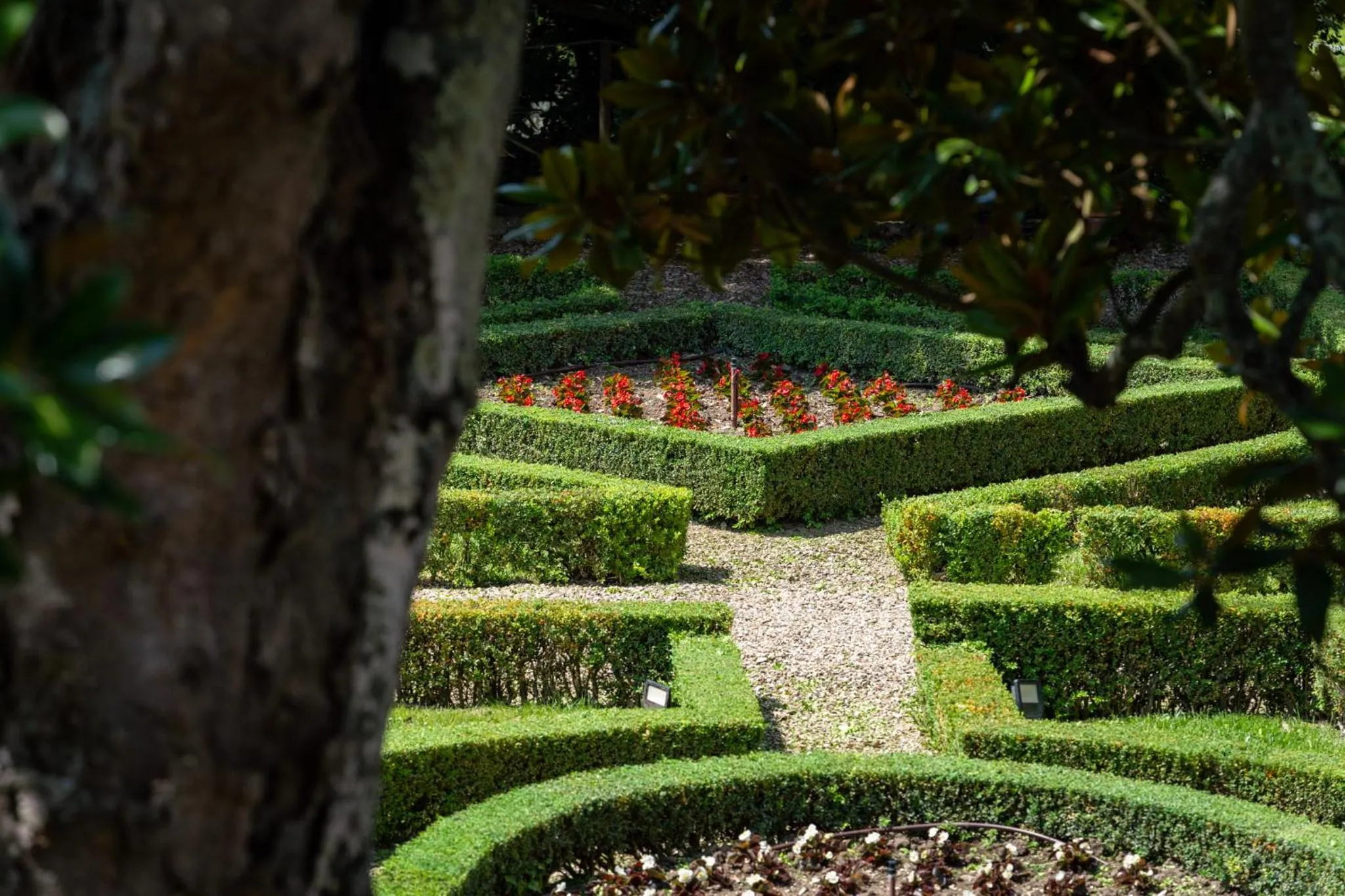Garden view in Certosa di Pontignano Residenza d'Epoca - Place of Charme