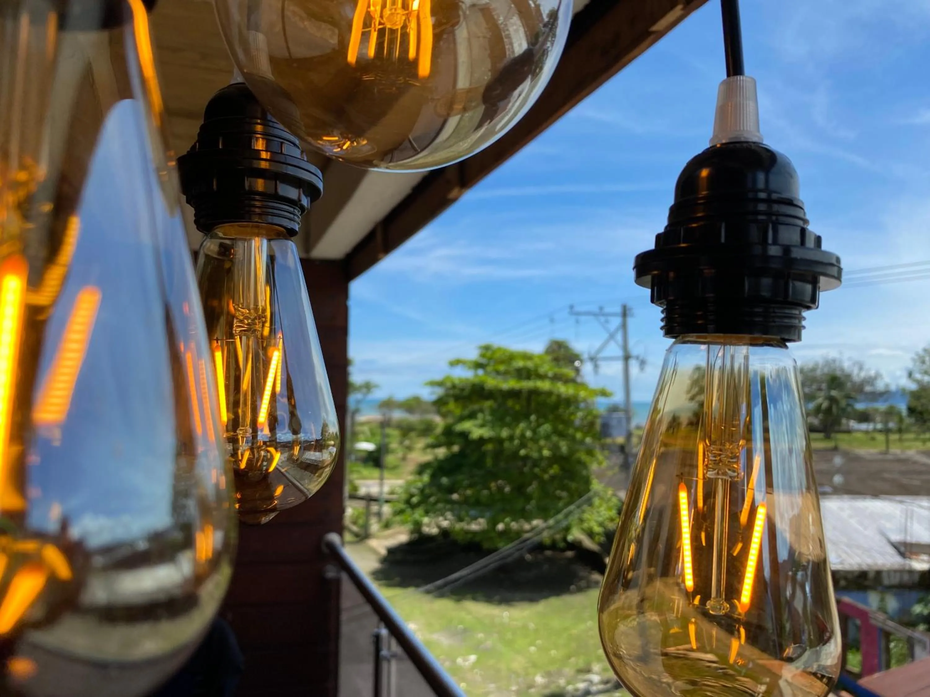 Spring in Petra Hotel