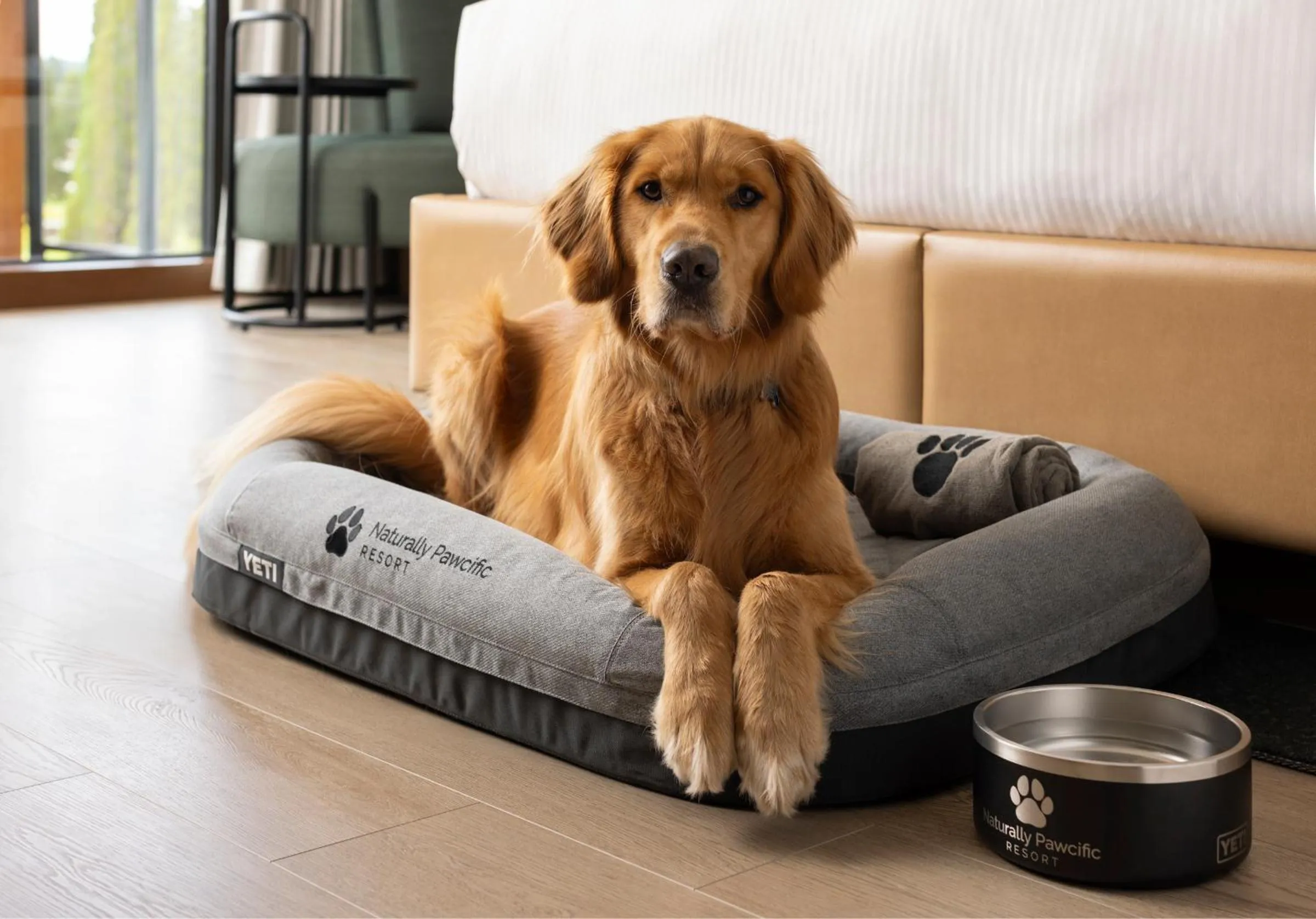 Pets in Naturally Pacific Resort