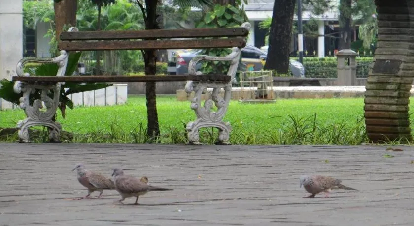 Daun Residence Kuningan