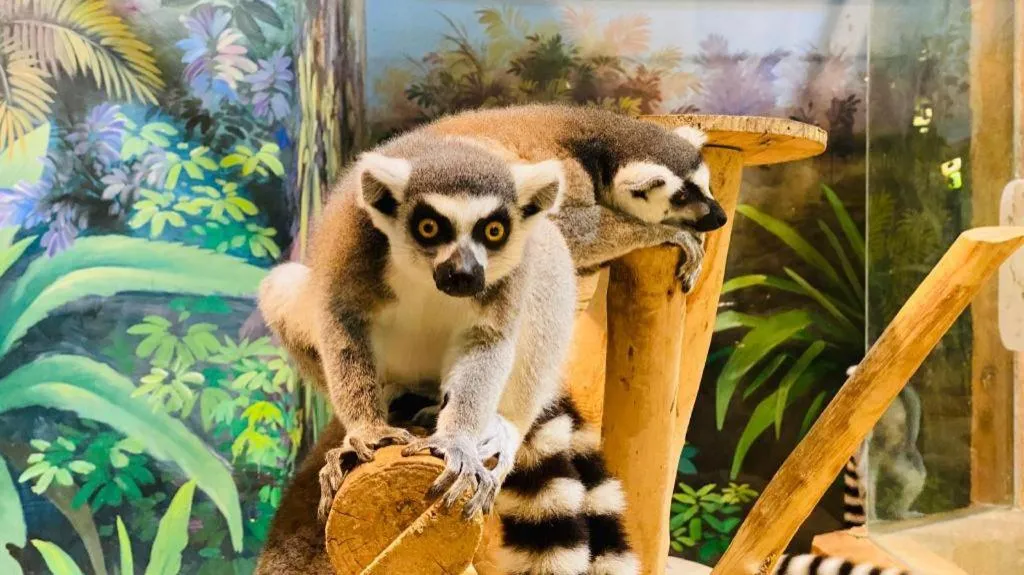 Steigenberger Hotel SUNAC Guangzhou