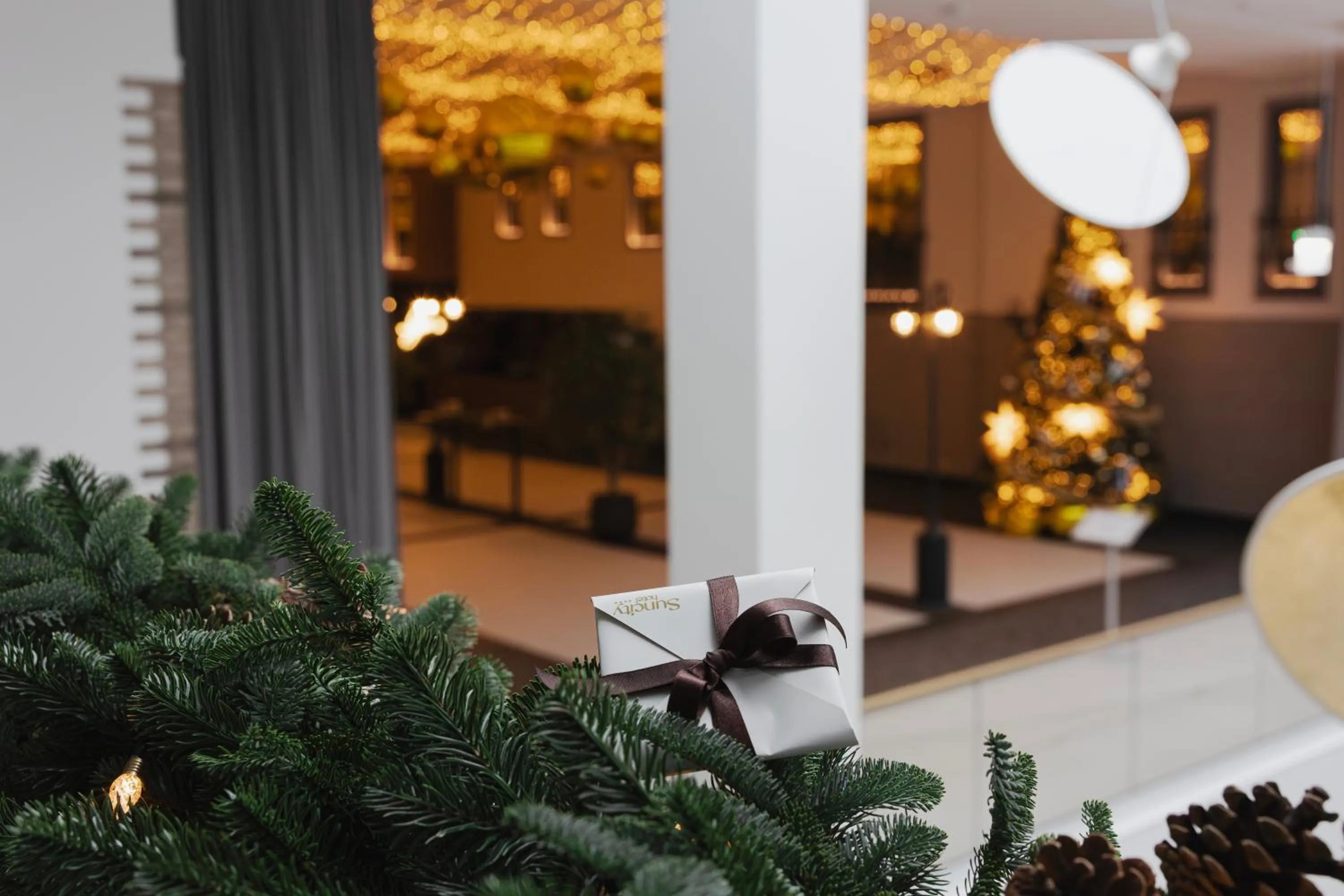 Area and facilities in Suncity Hotel & SPA