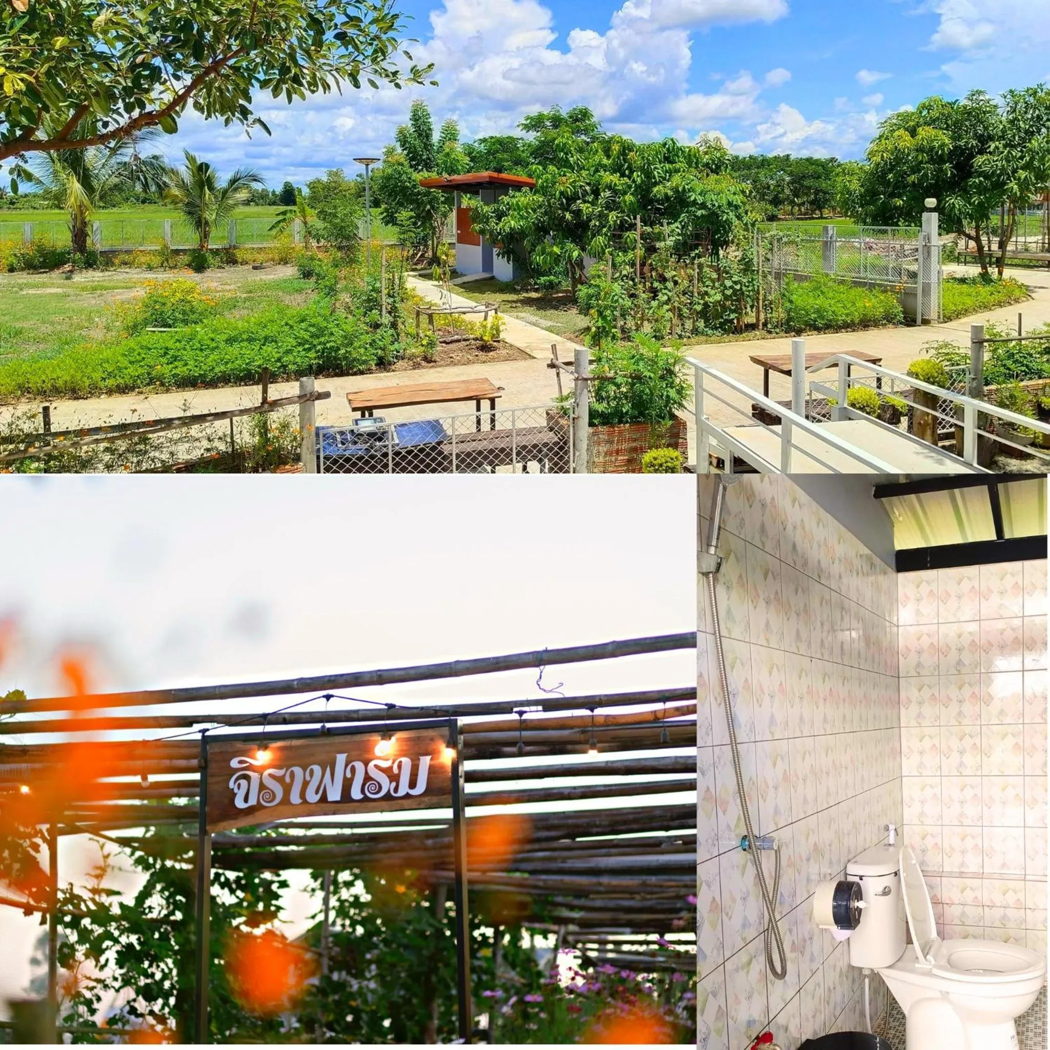 Garden in Jira Hotel