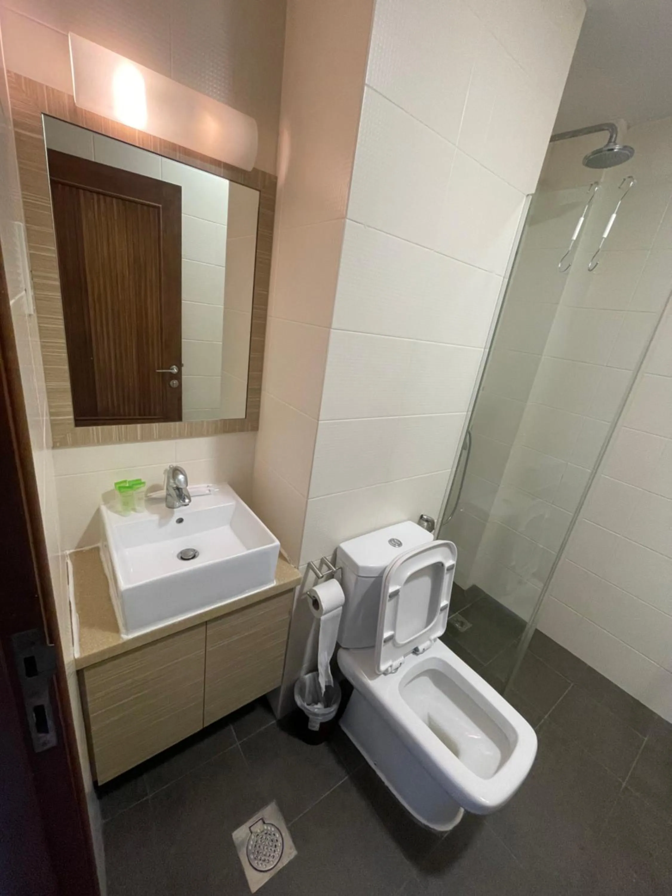 Toilet in 36 club st residence