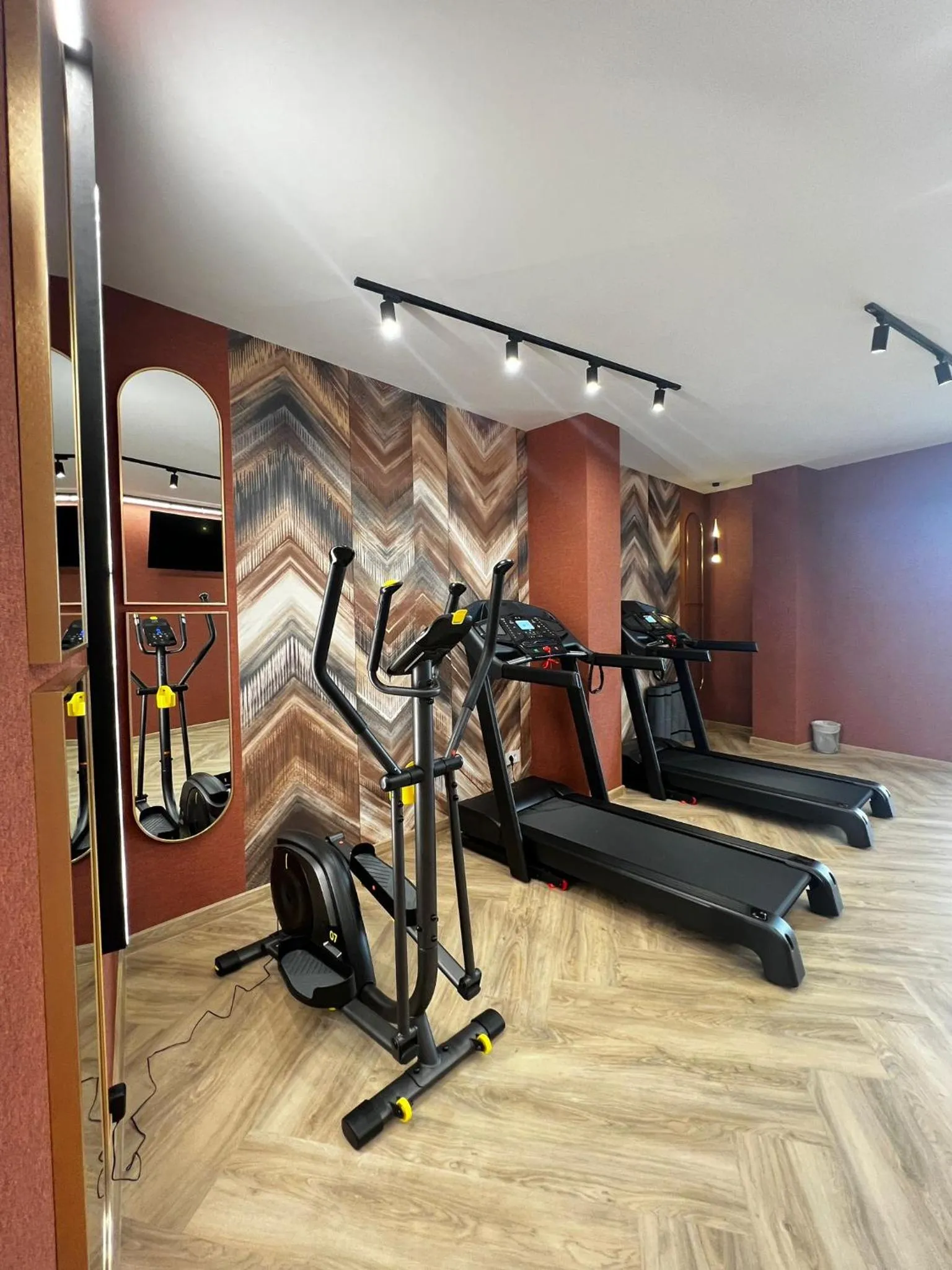 Fitness centre/facilities in Boutique Hotel Balș