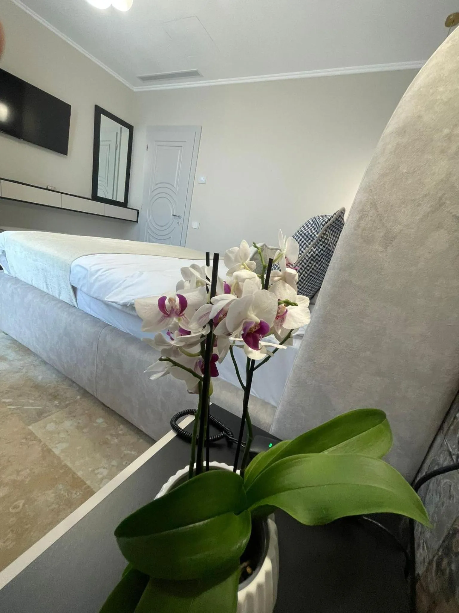 Photo of the whole room, Bed in Boutique Hotel Balș