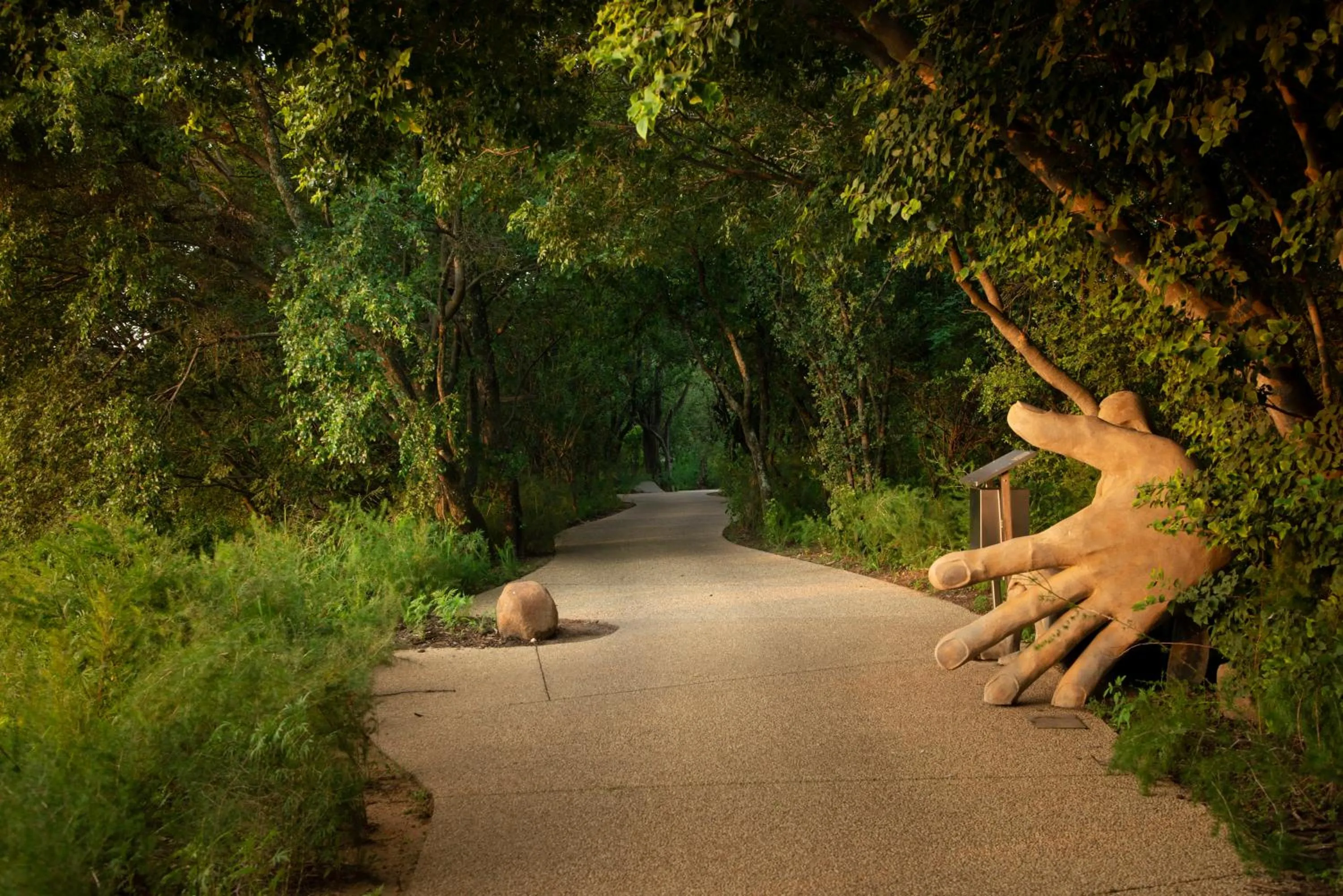 Natural landscape in Steyn City Hotel by Saxon
