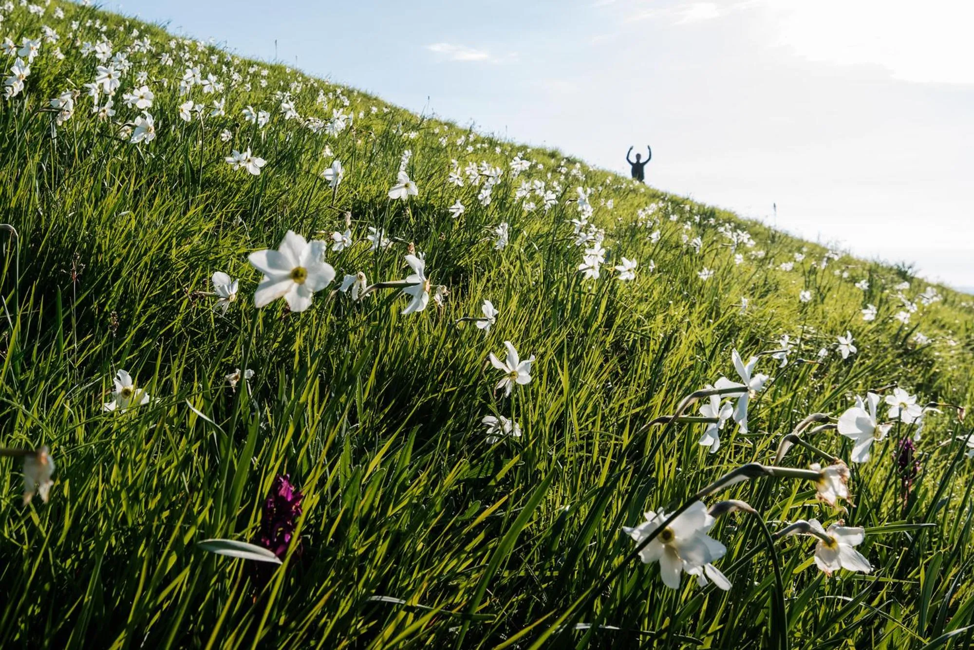 Hiking in Hotel Ristorante La Lanterna