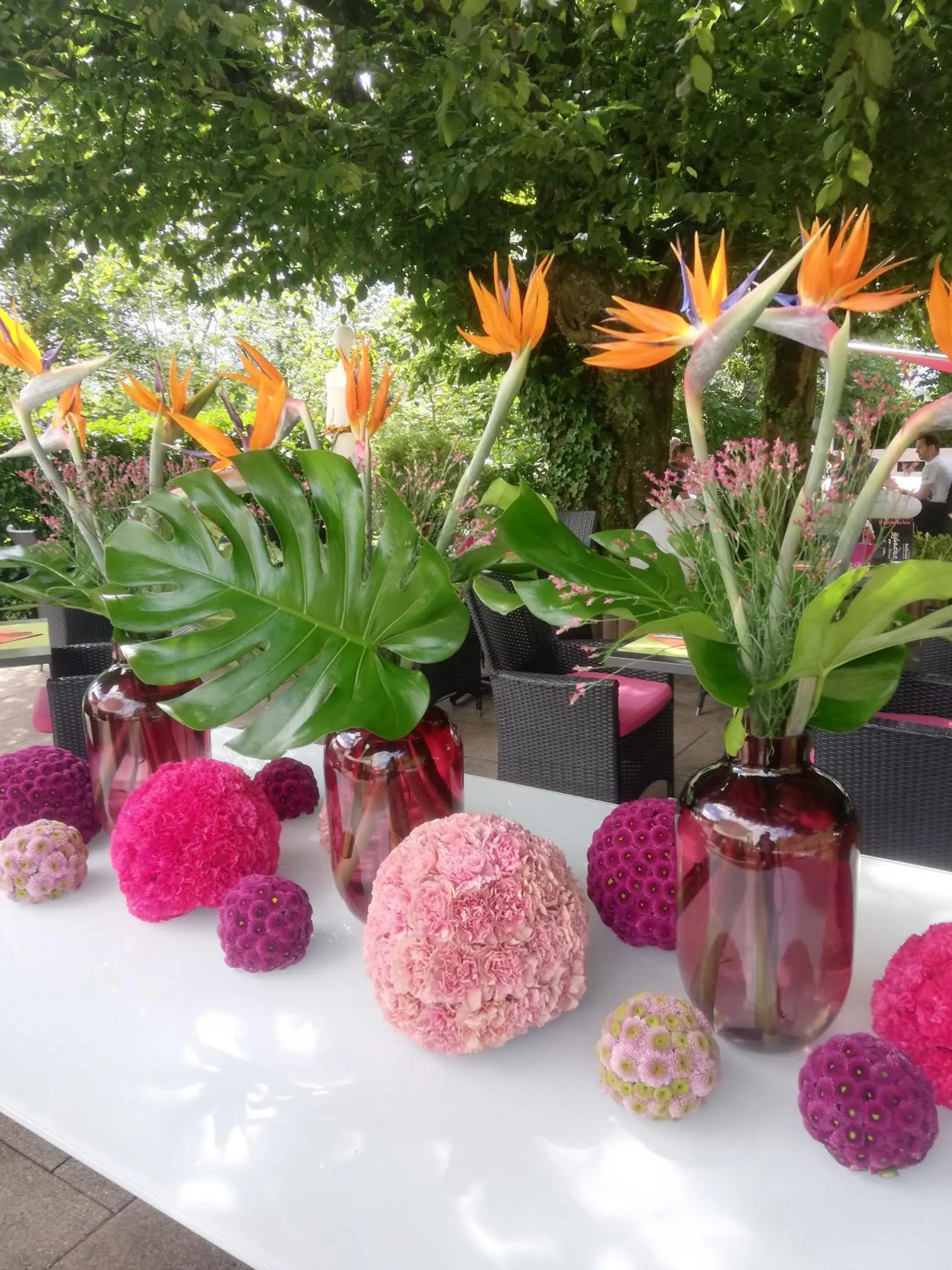 Garden in Hôtel Bellevue