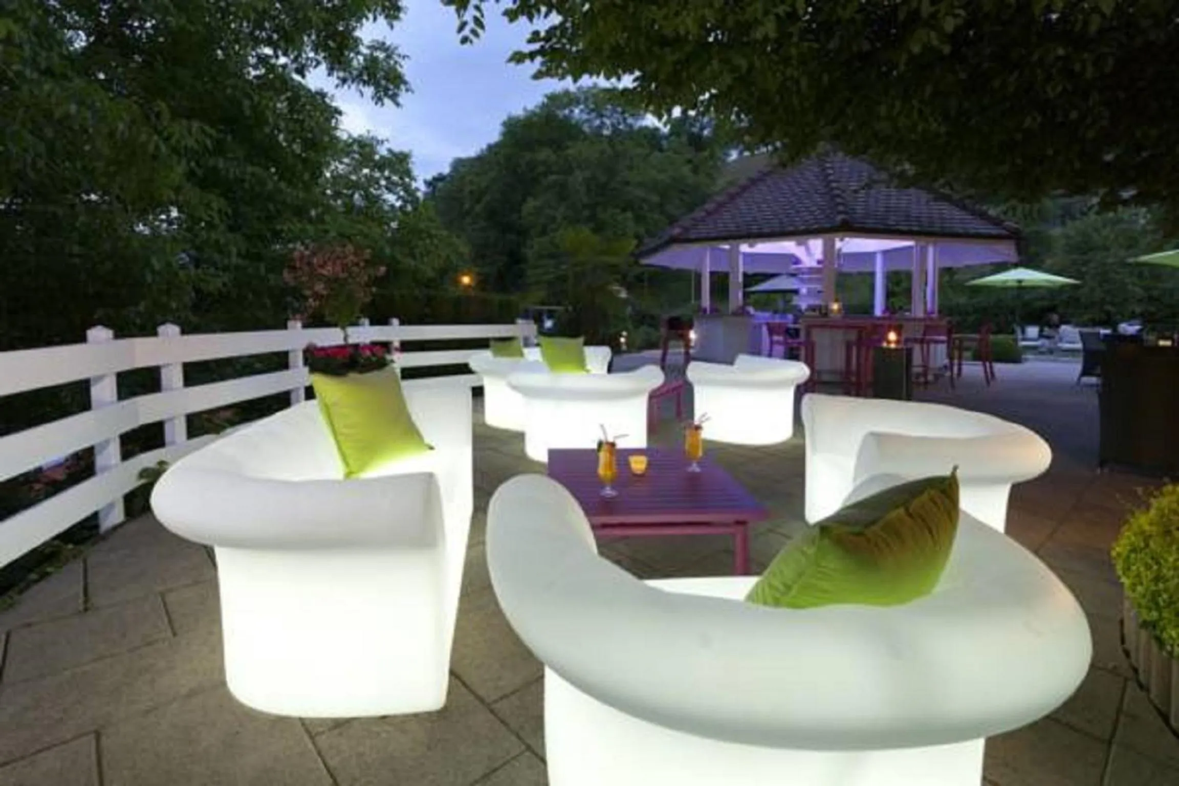 Garden in Hôtel Bellevue