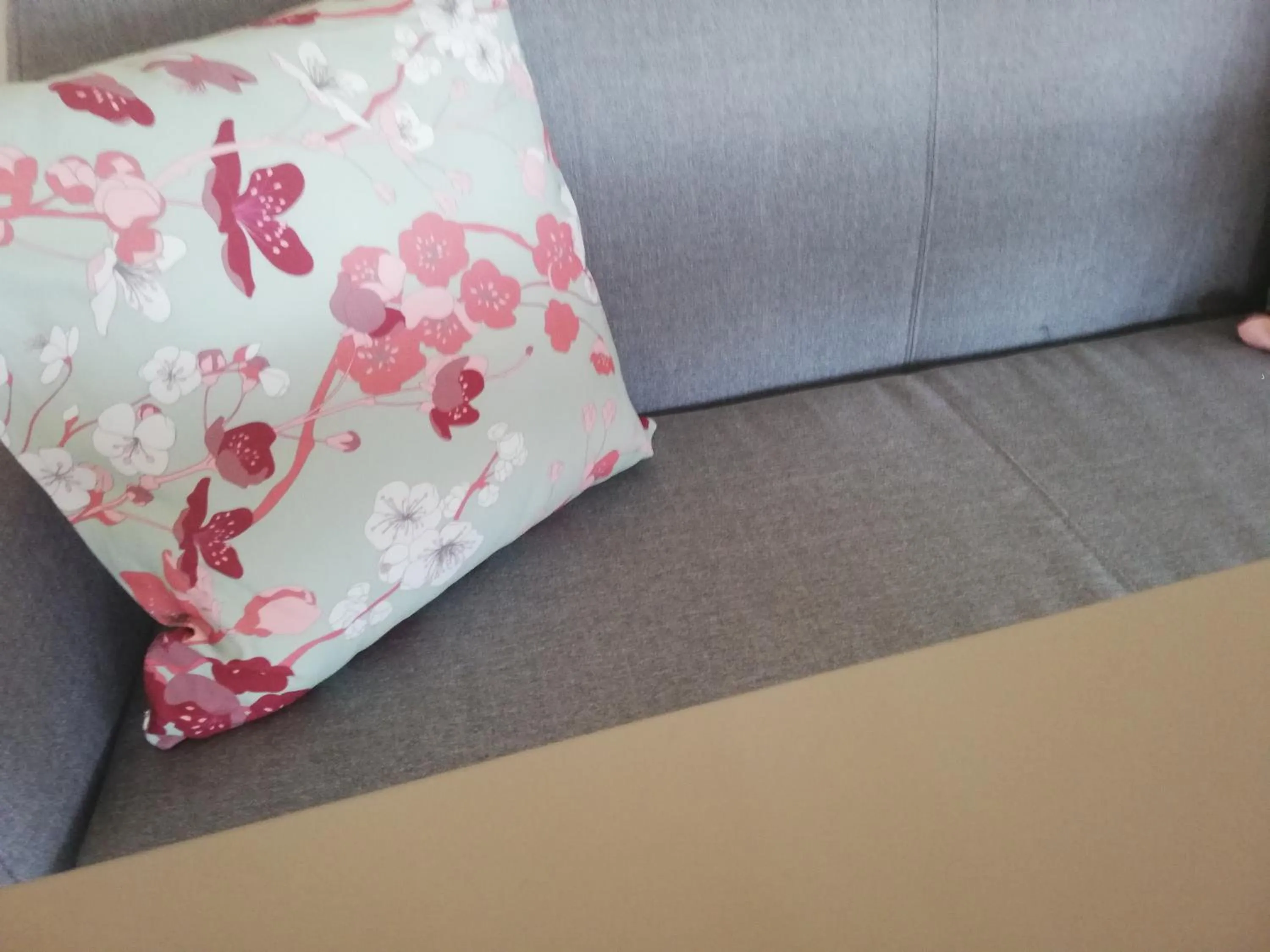 Restaurant/places to eat in Hôtel Bellevue