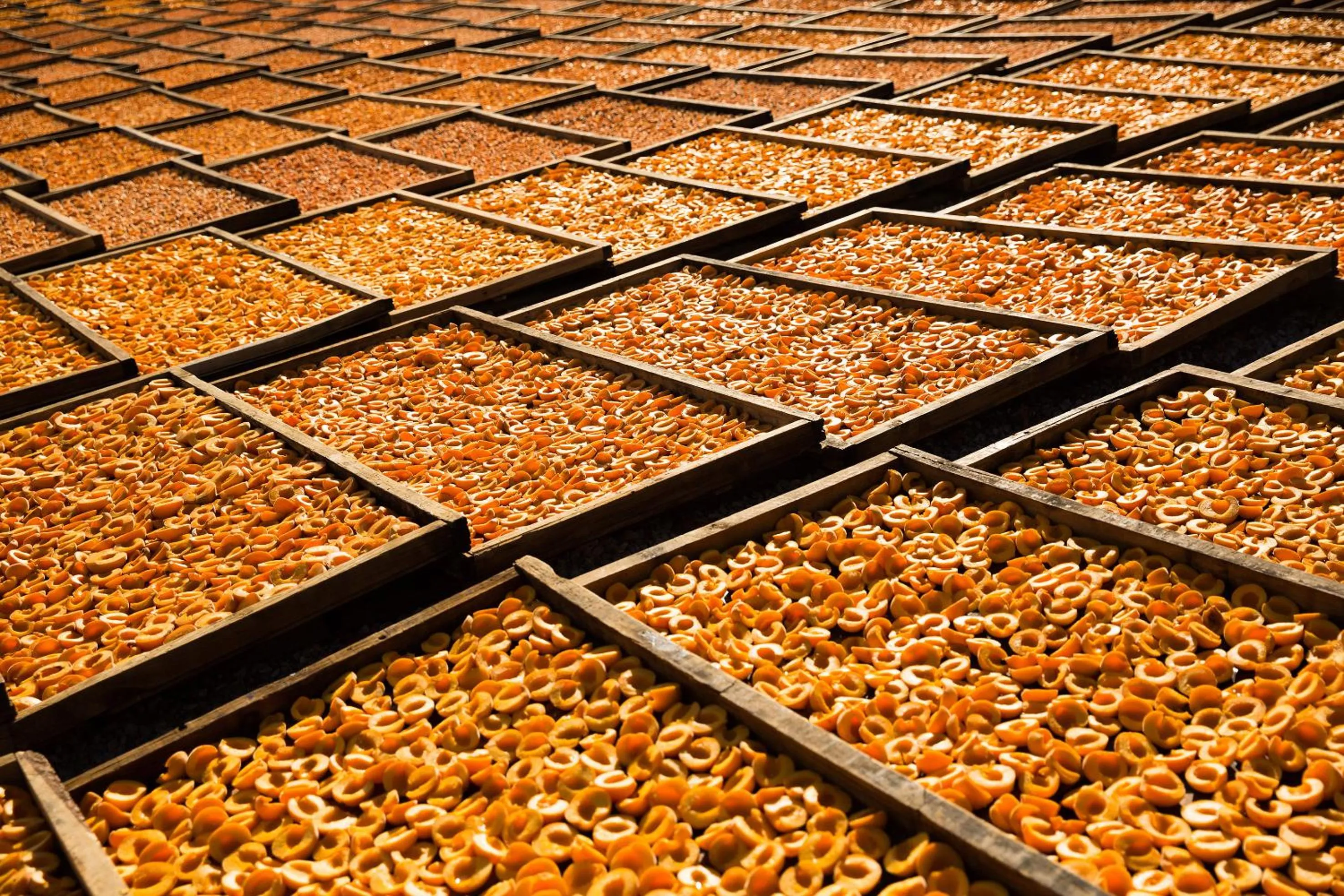 Neighbourhood in In Abundance Guest House