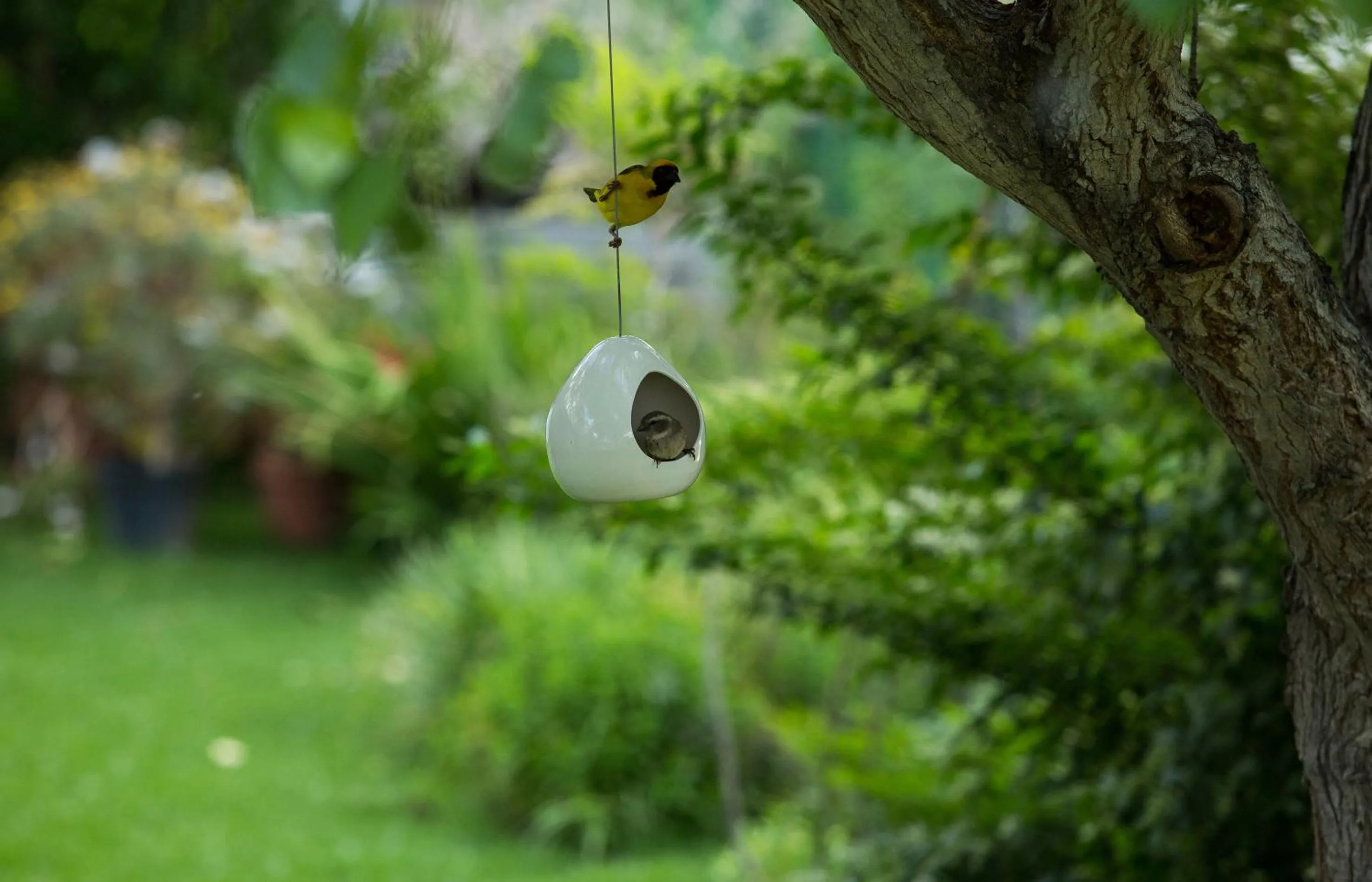 Garden in In Abundance Guest House