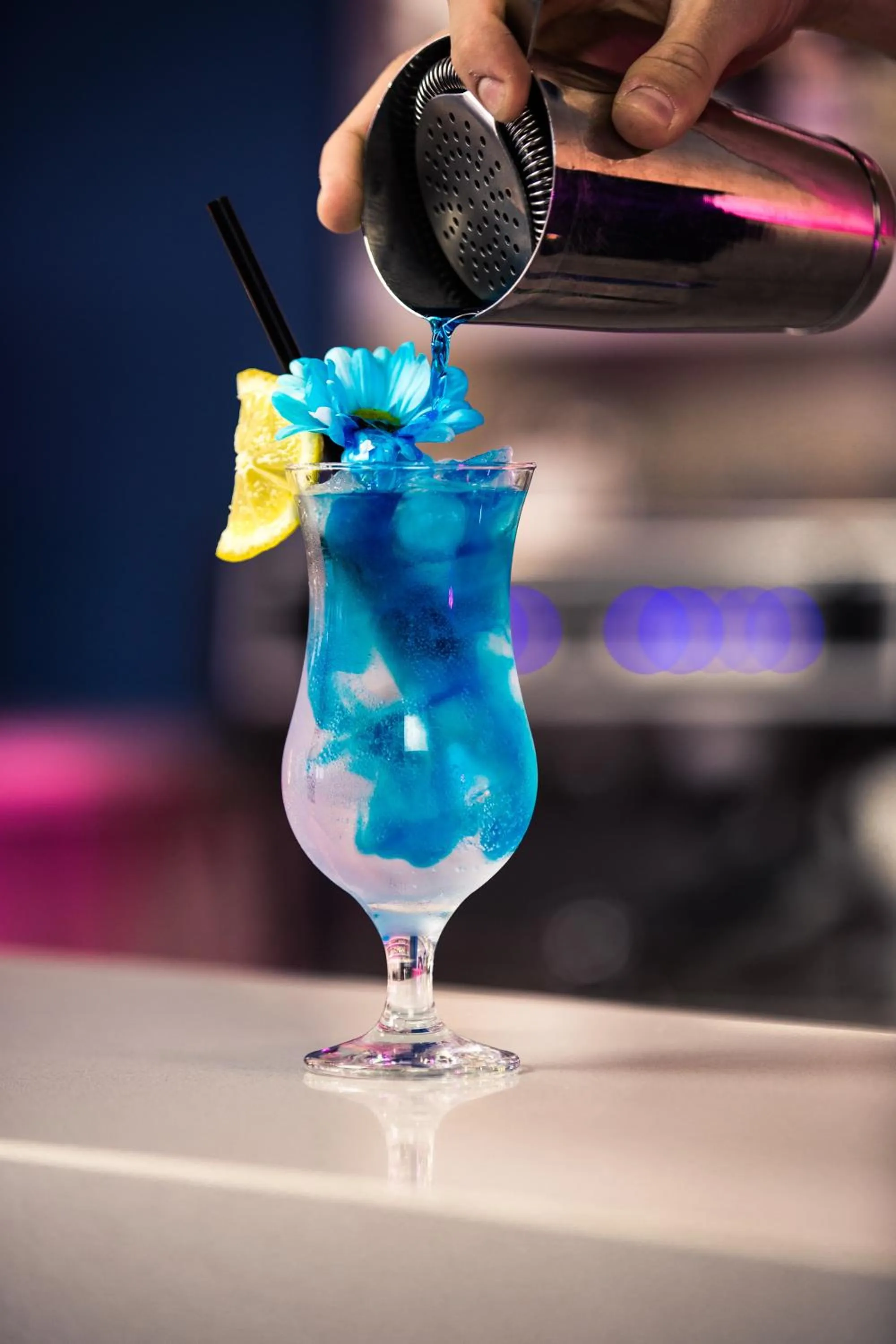 Lounge or bar in Alabaster Rezydencja