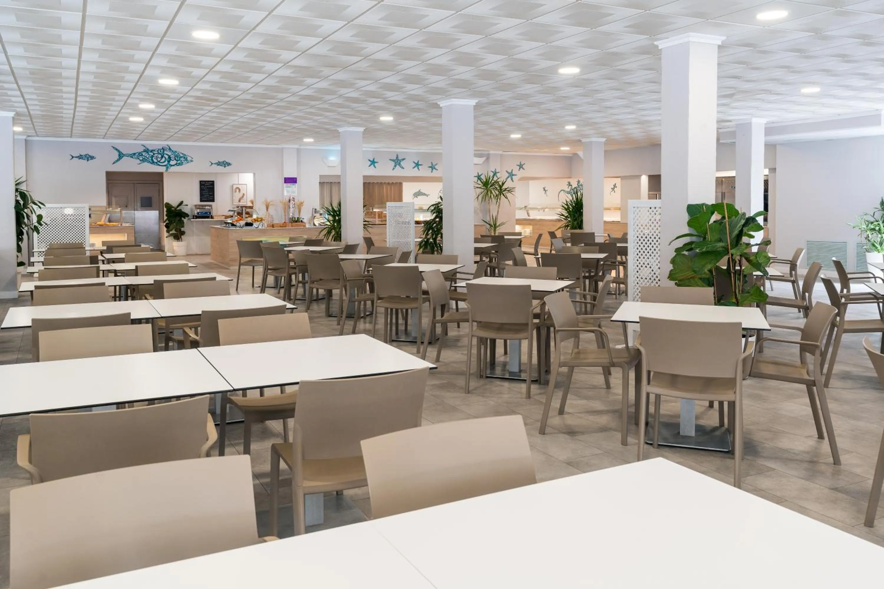 Restaurant/places to eat in FERGUS Club Carema Splash