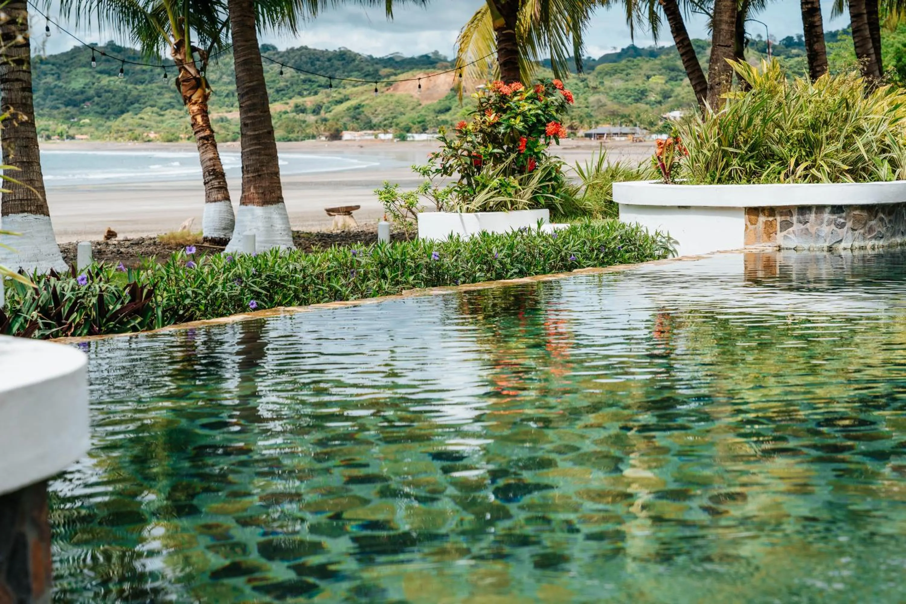 Garden in Villa Marina Hotel