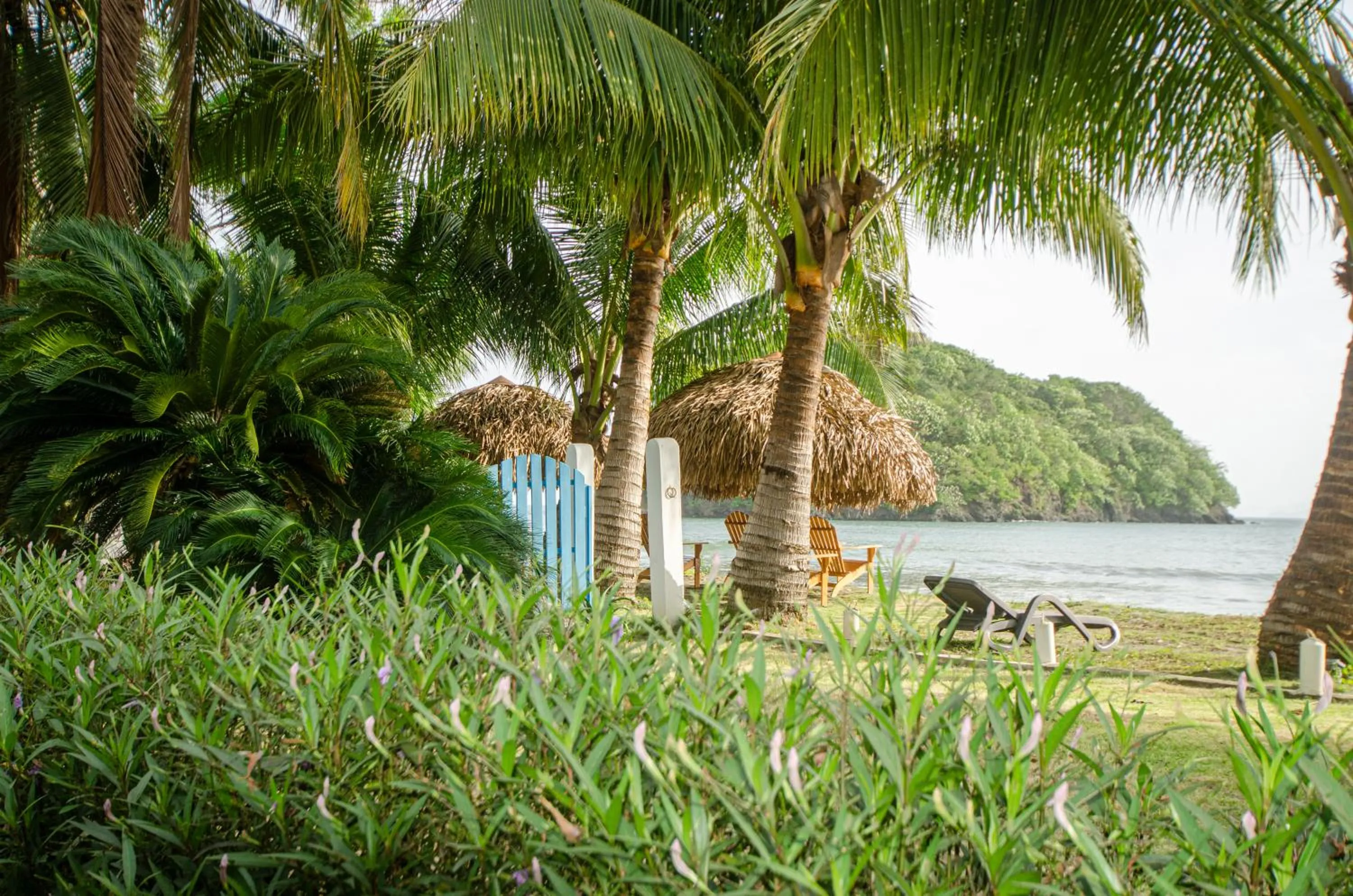 Natural landscape in Villa Marina Hotel