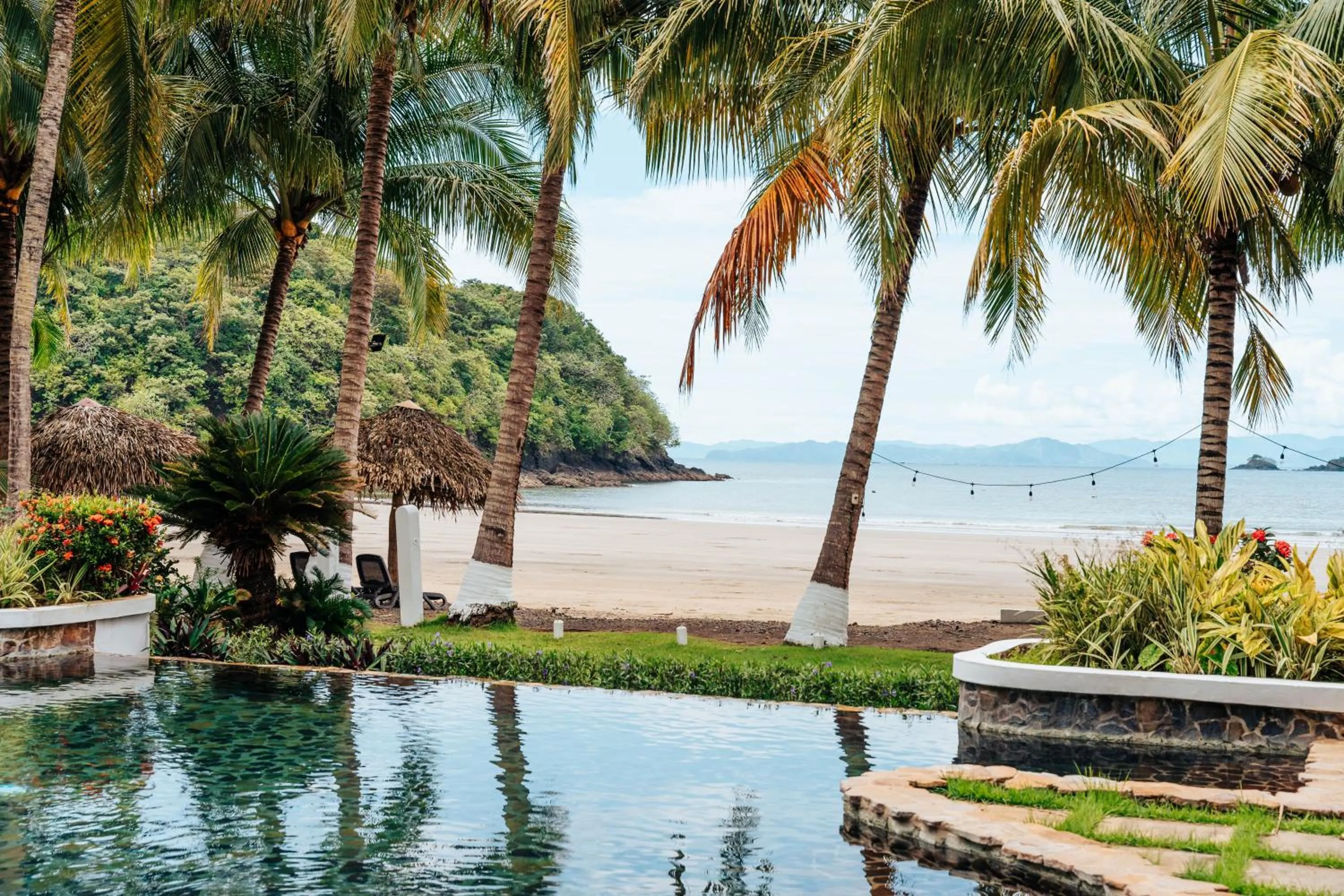 Garden in Villa Marina Hotel