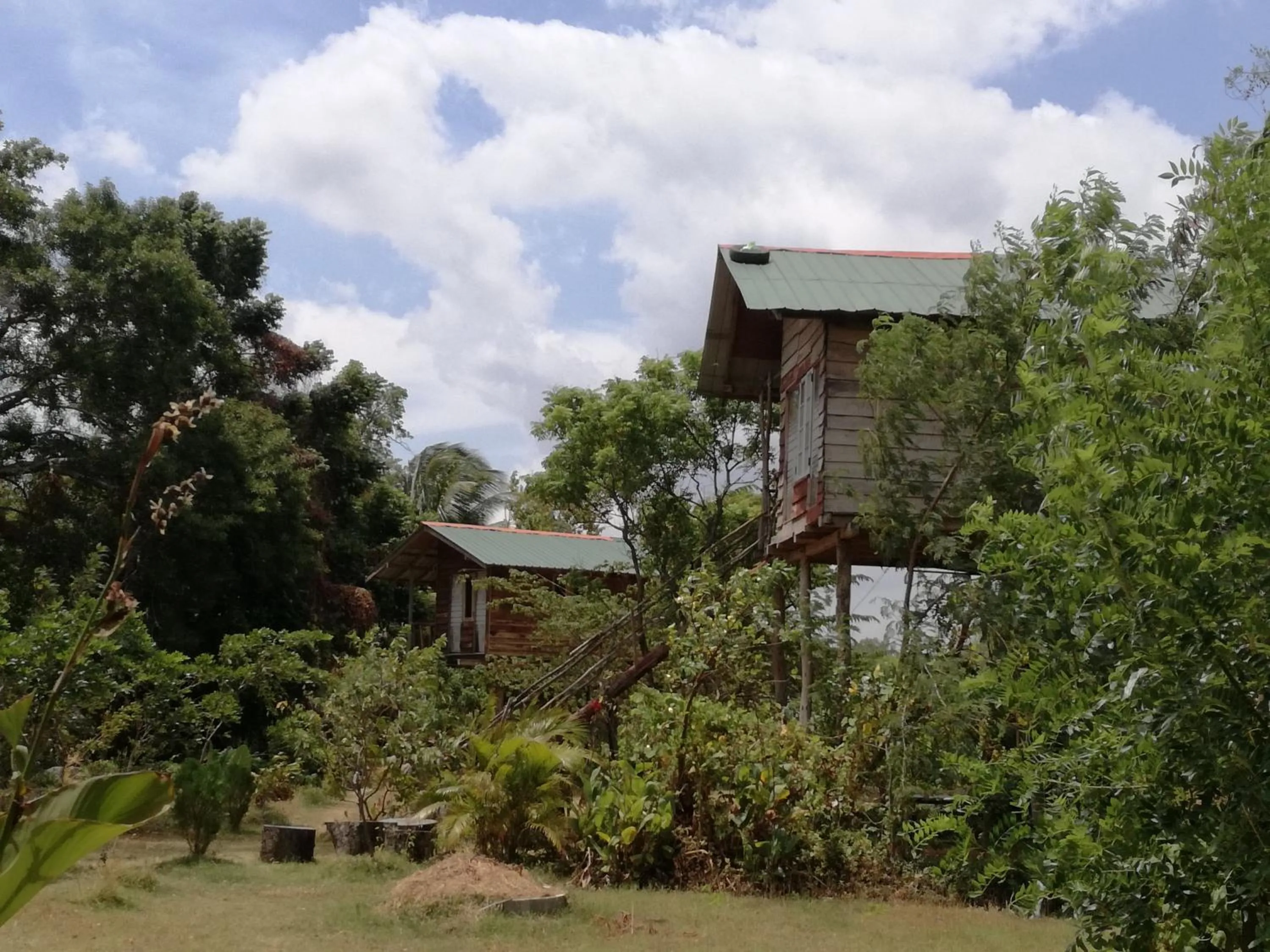 Property building in Sigiri Forest View