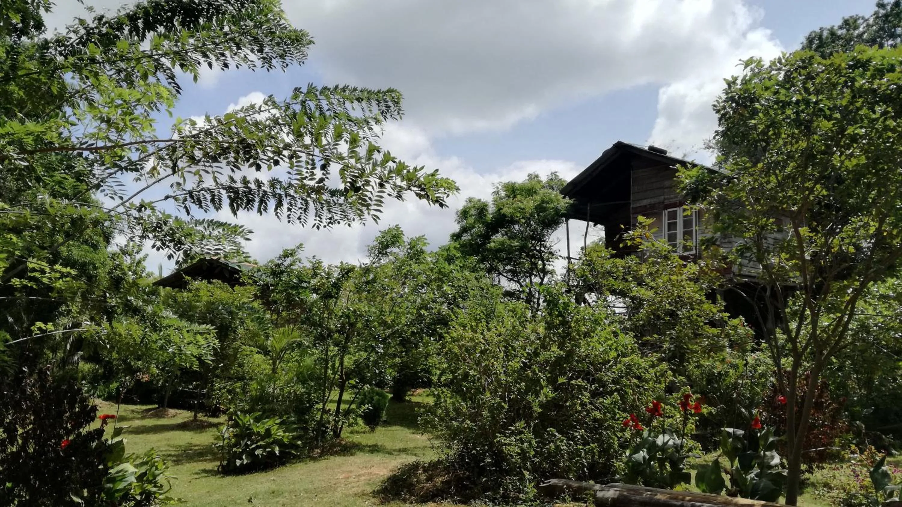Property building in Sigiri Forest View