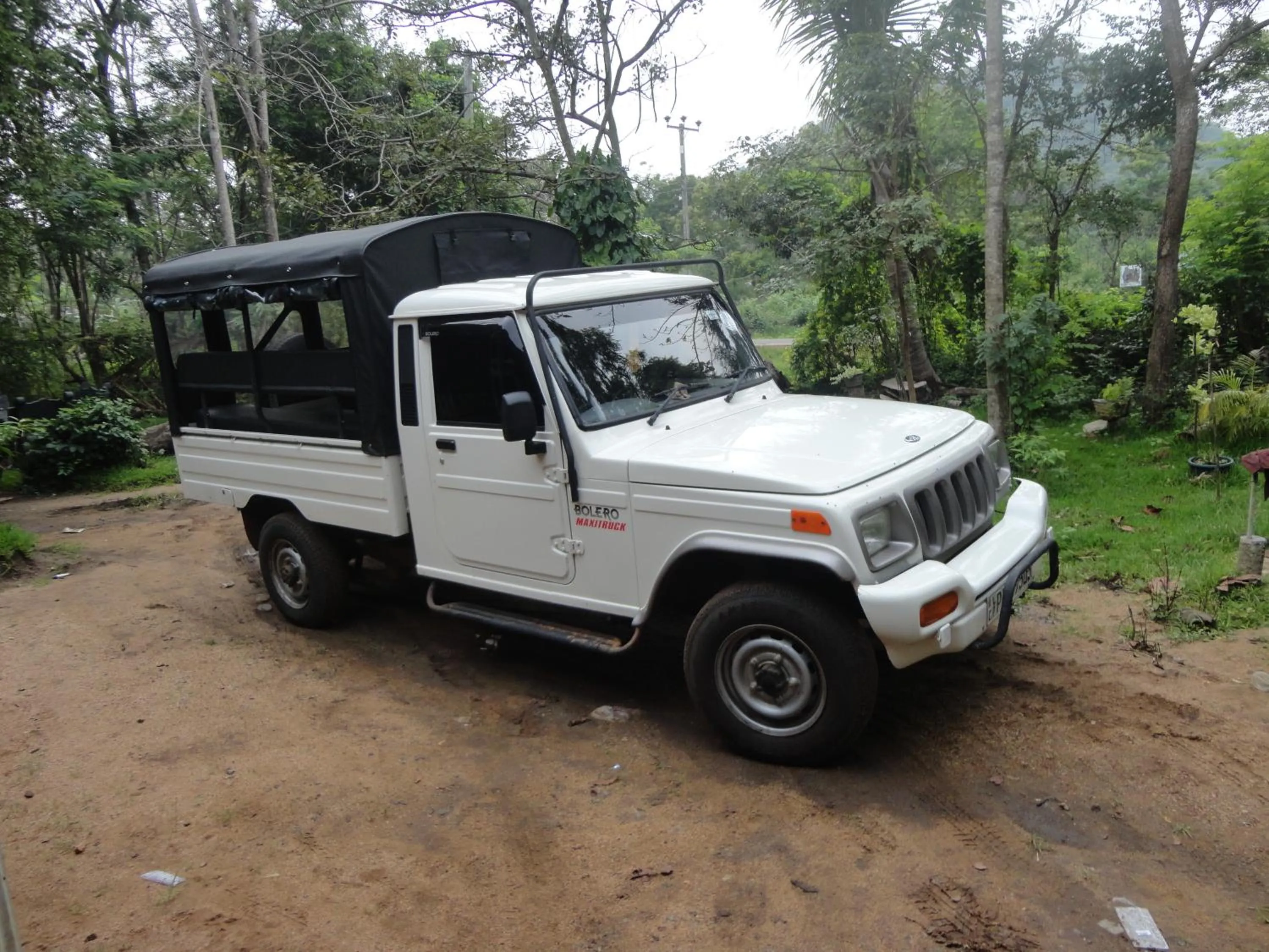 Other in Sigiri Forest View