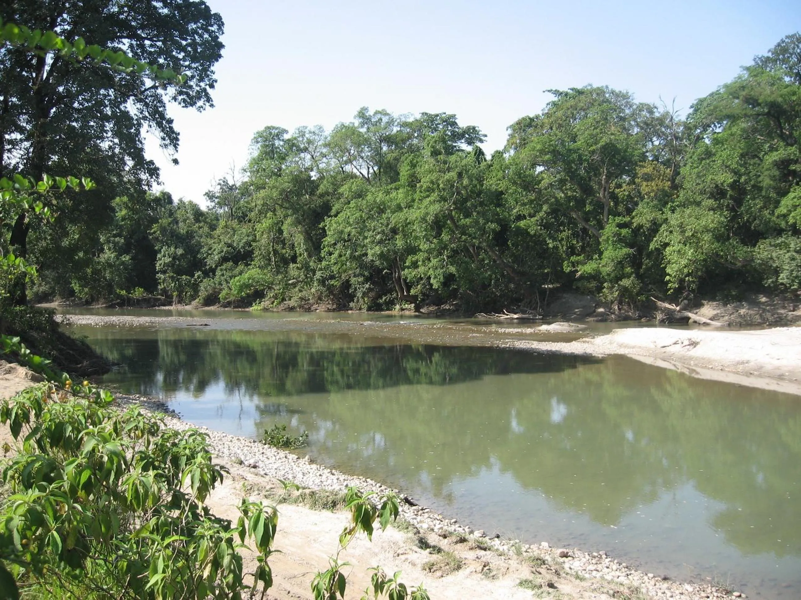 View (from property/room) in Bardia Eco Lodge