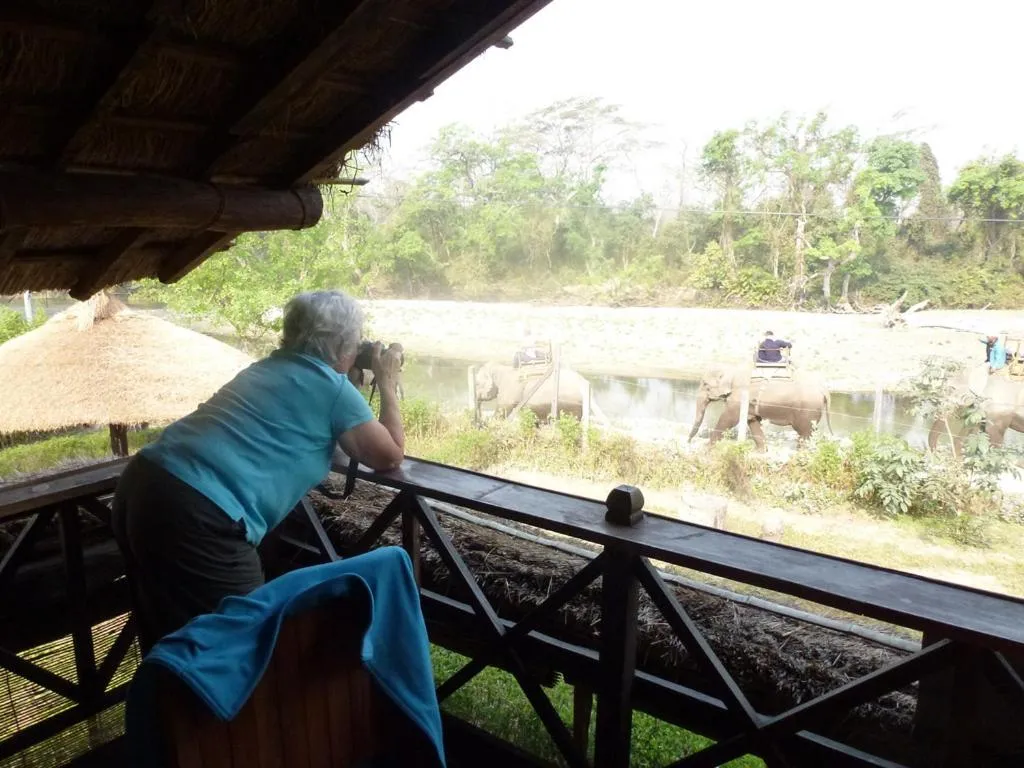 View (from property/room) in Bardia Eco Lodge