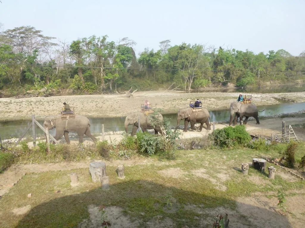 View (from property/room) in Bardia Eco Lodge