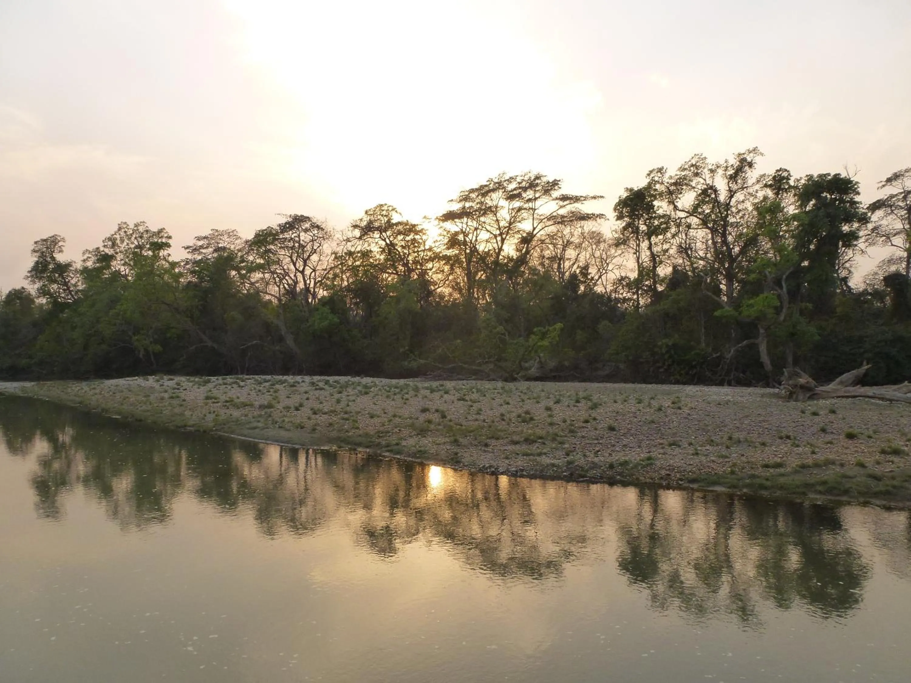 View (from property/room) in Bardia Eco Lodge