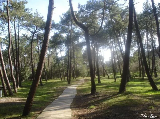 Hiking in Hotel Viento del Norte