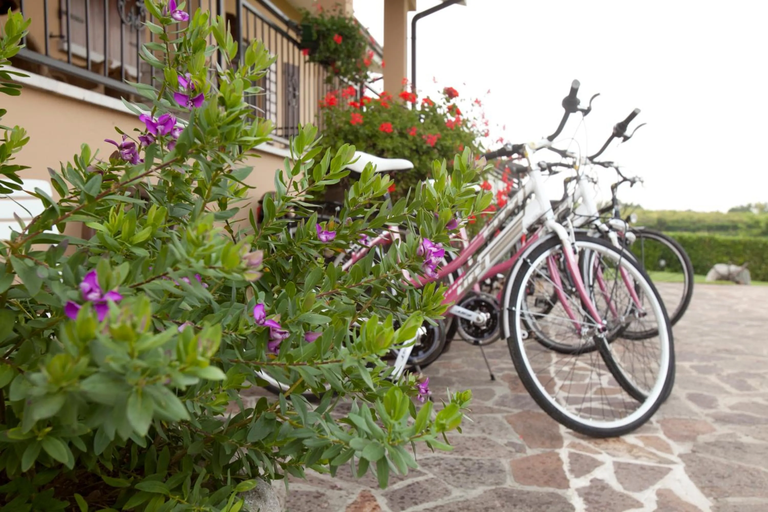 Activities in Bed & Breakfast Conca Verde