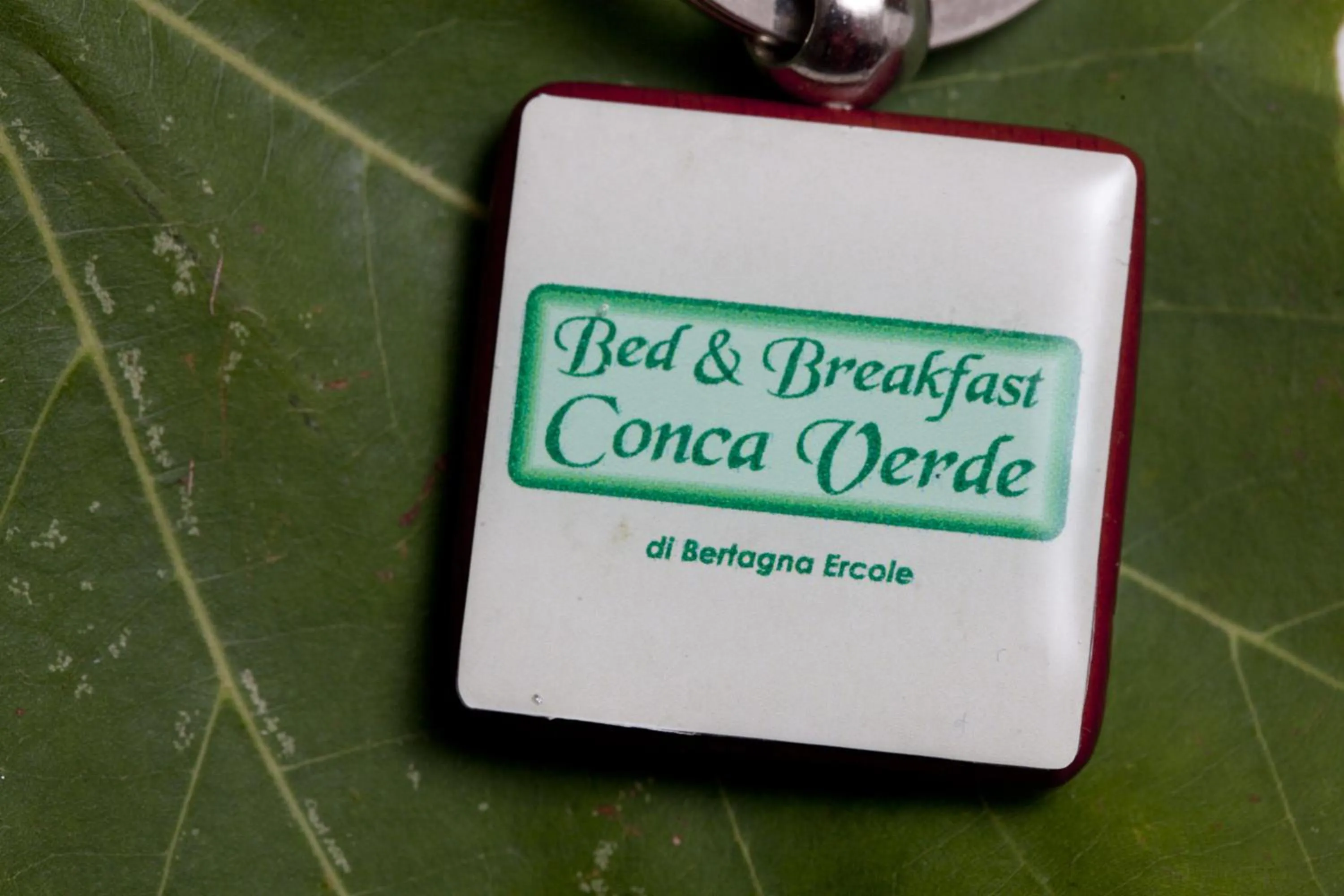 Property logo or sign in Bed & Breakfast Conca Verde