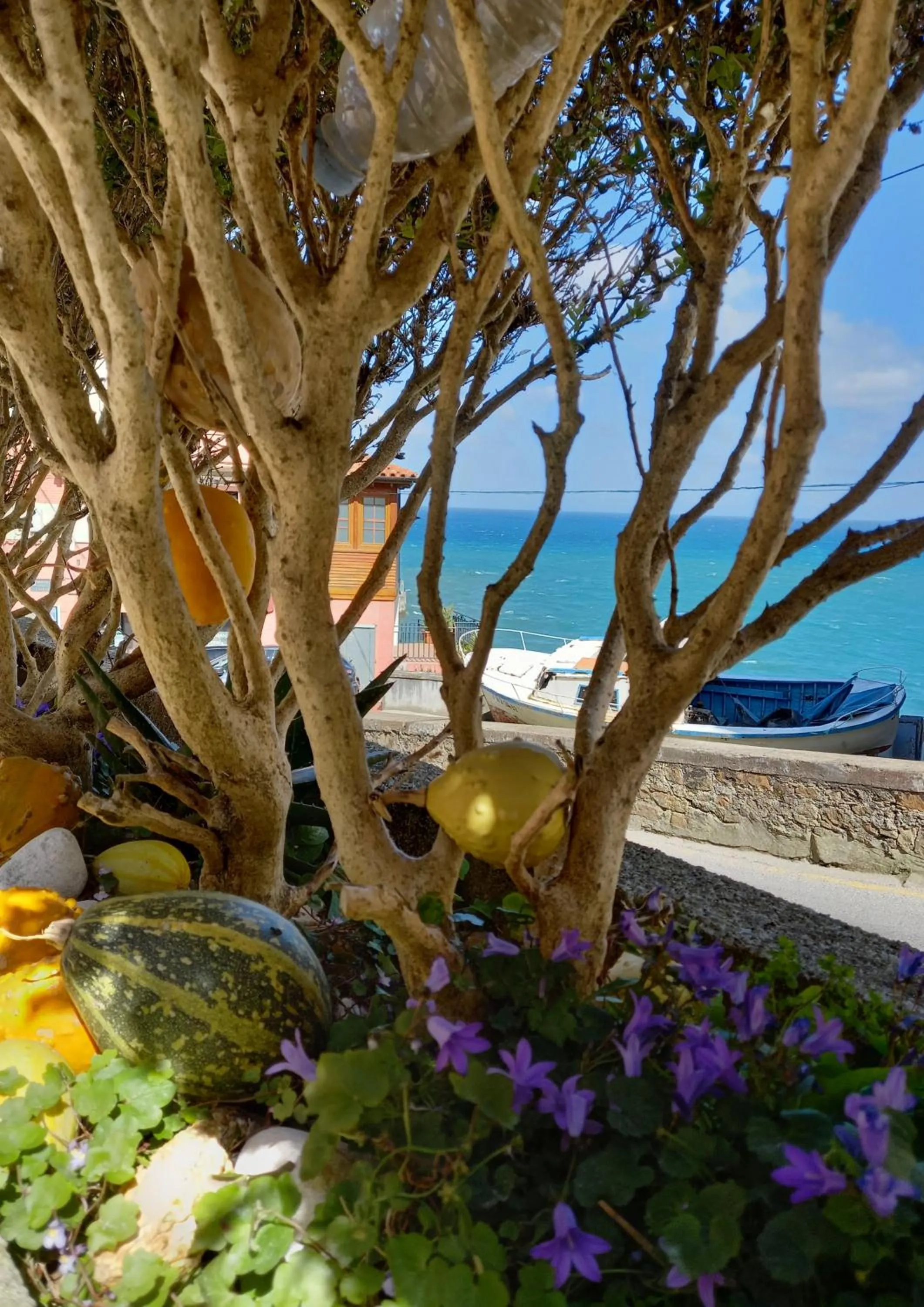 Balcony/Terrace in Hotel Eutimio