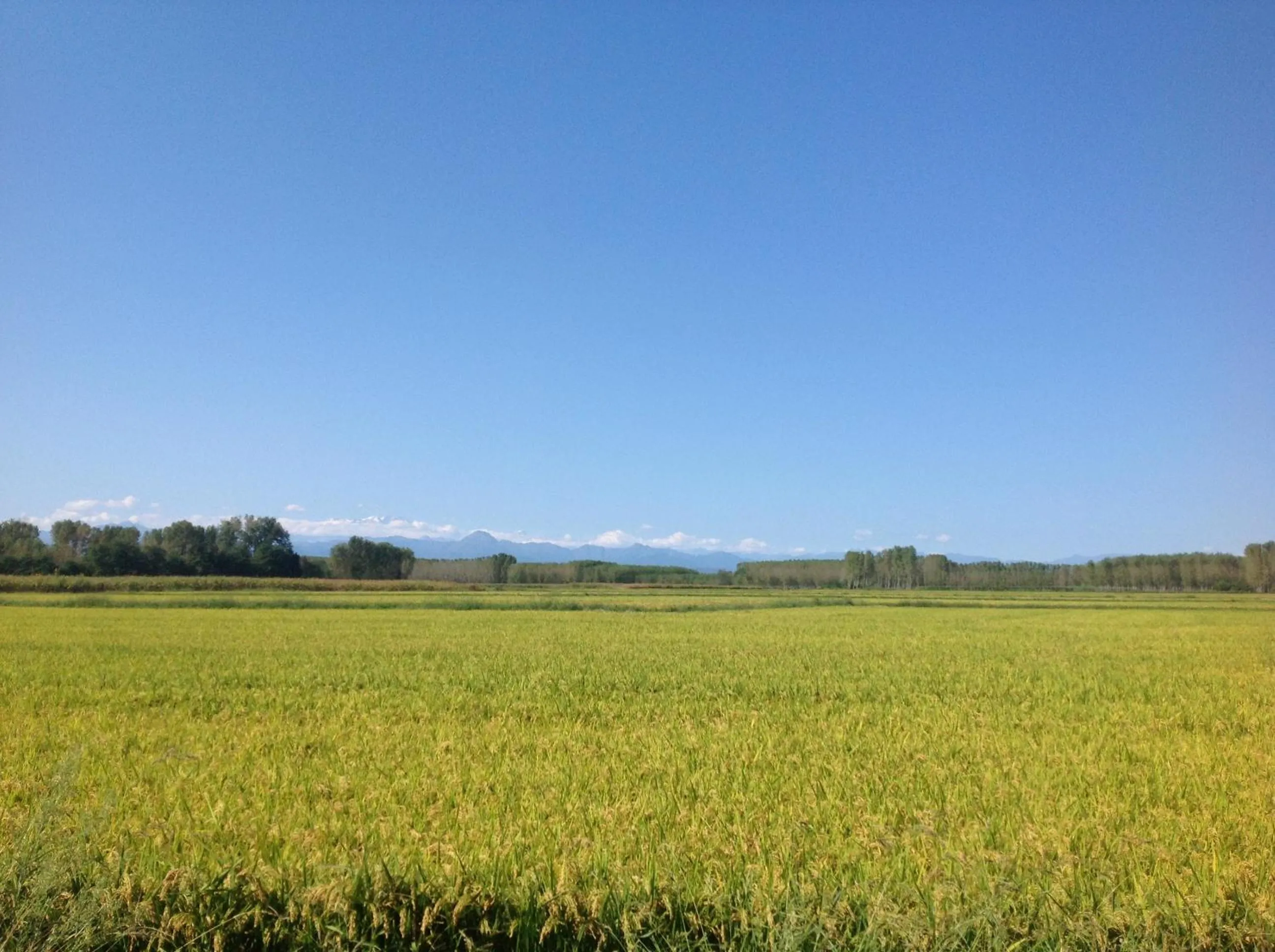 Natural landscape in Residence Campagnole